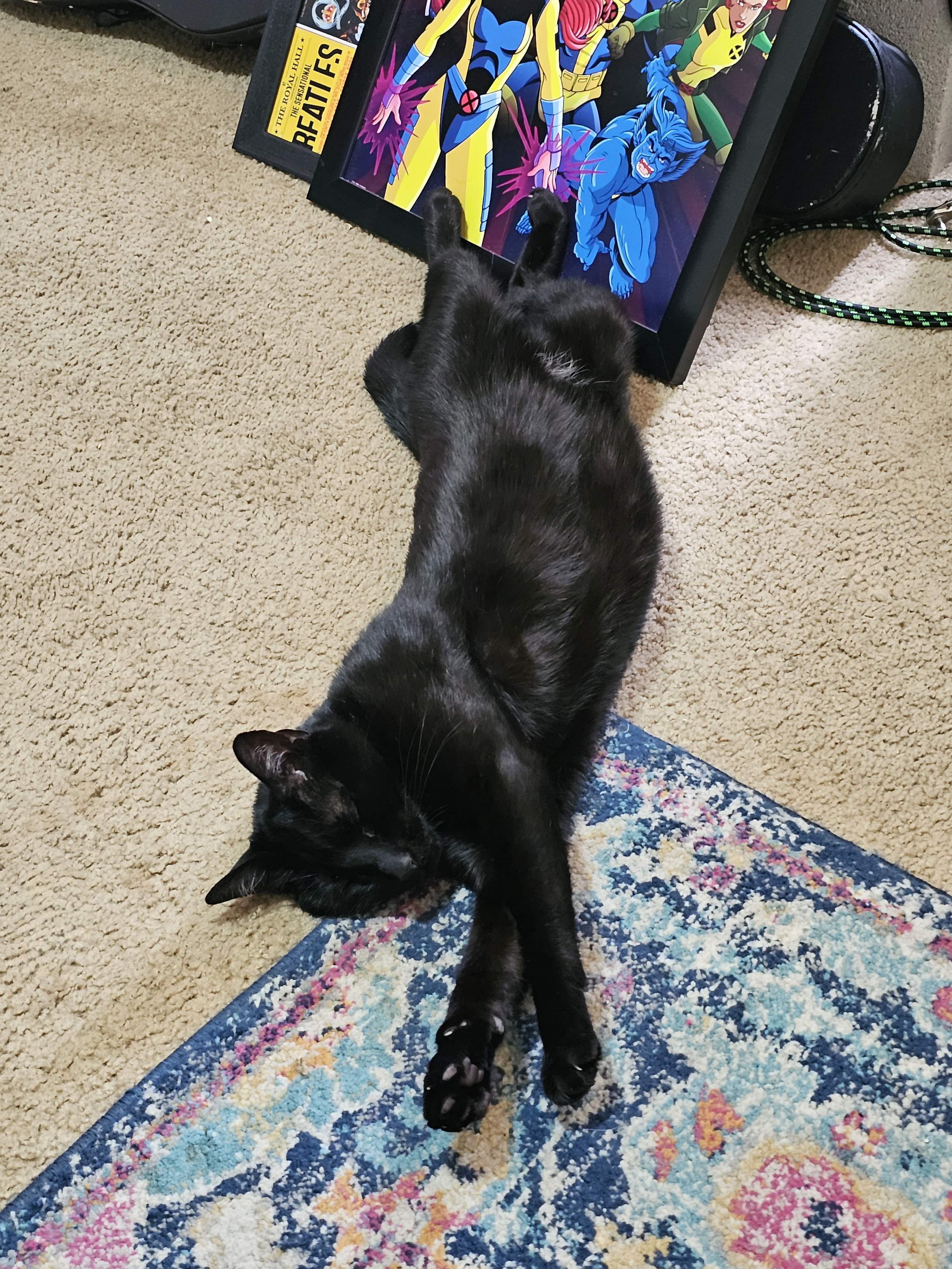 20230722_164735.jpg