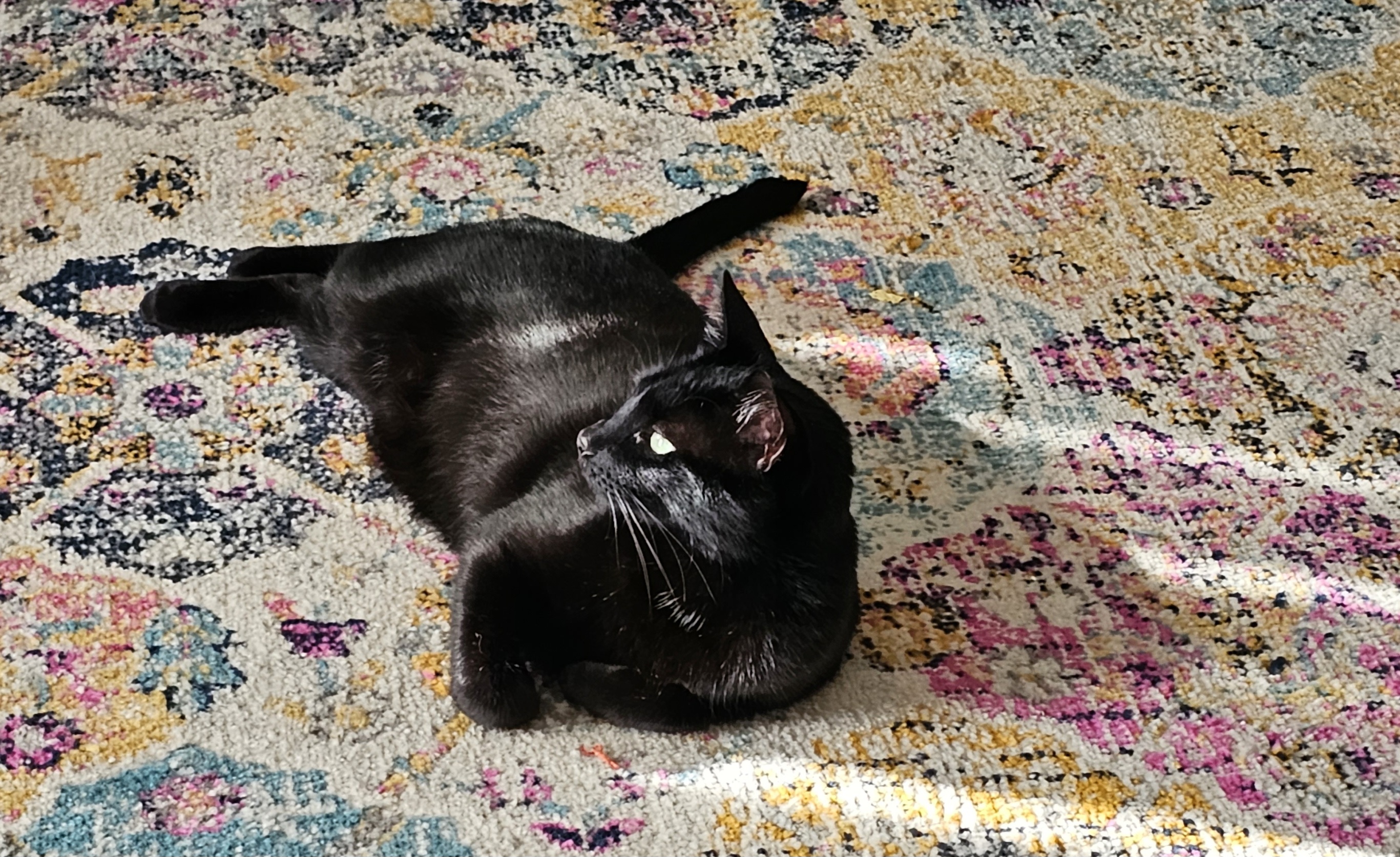 20230724_183818.jpg