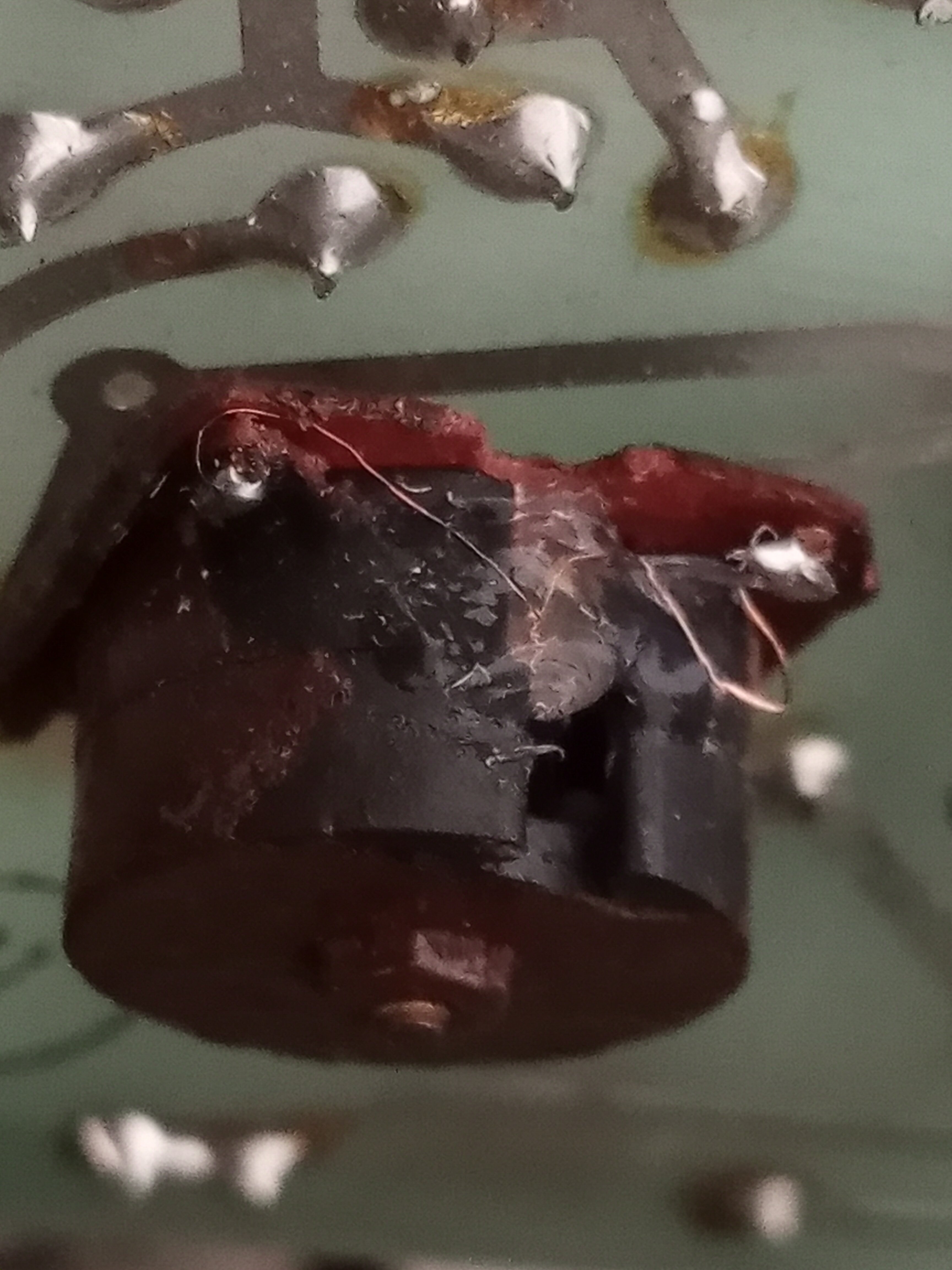 20230731_165957.jpg