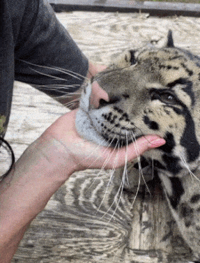20230803_215503.gif