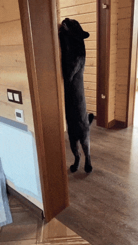 20230815_220442.gif