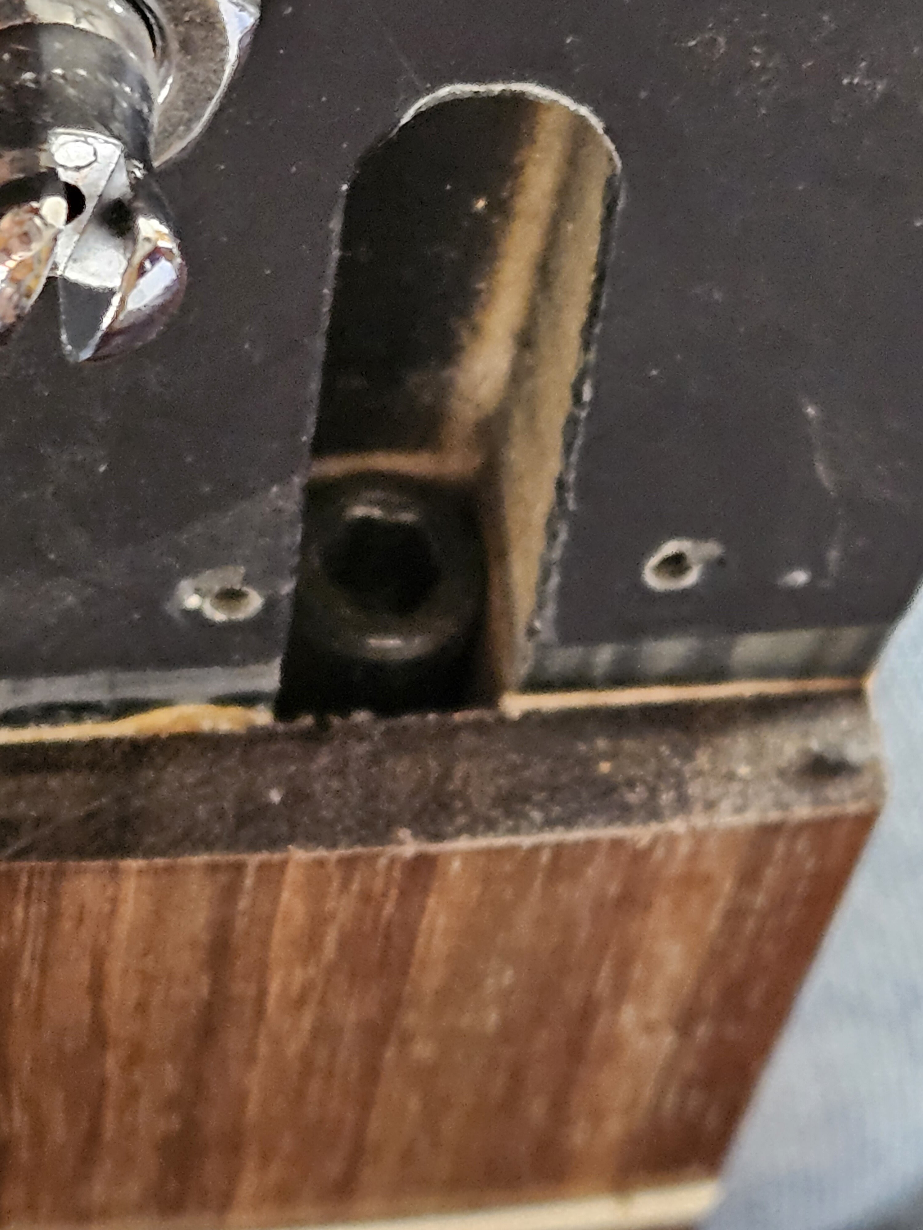 20230824_124121.jpg