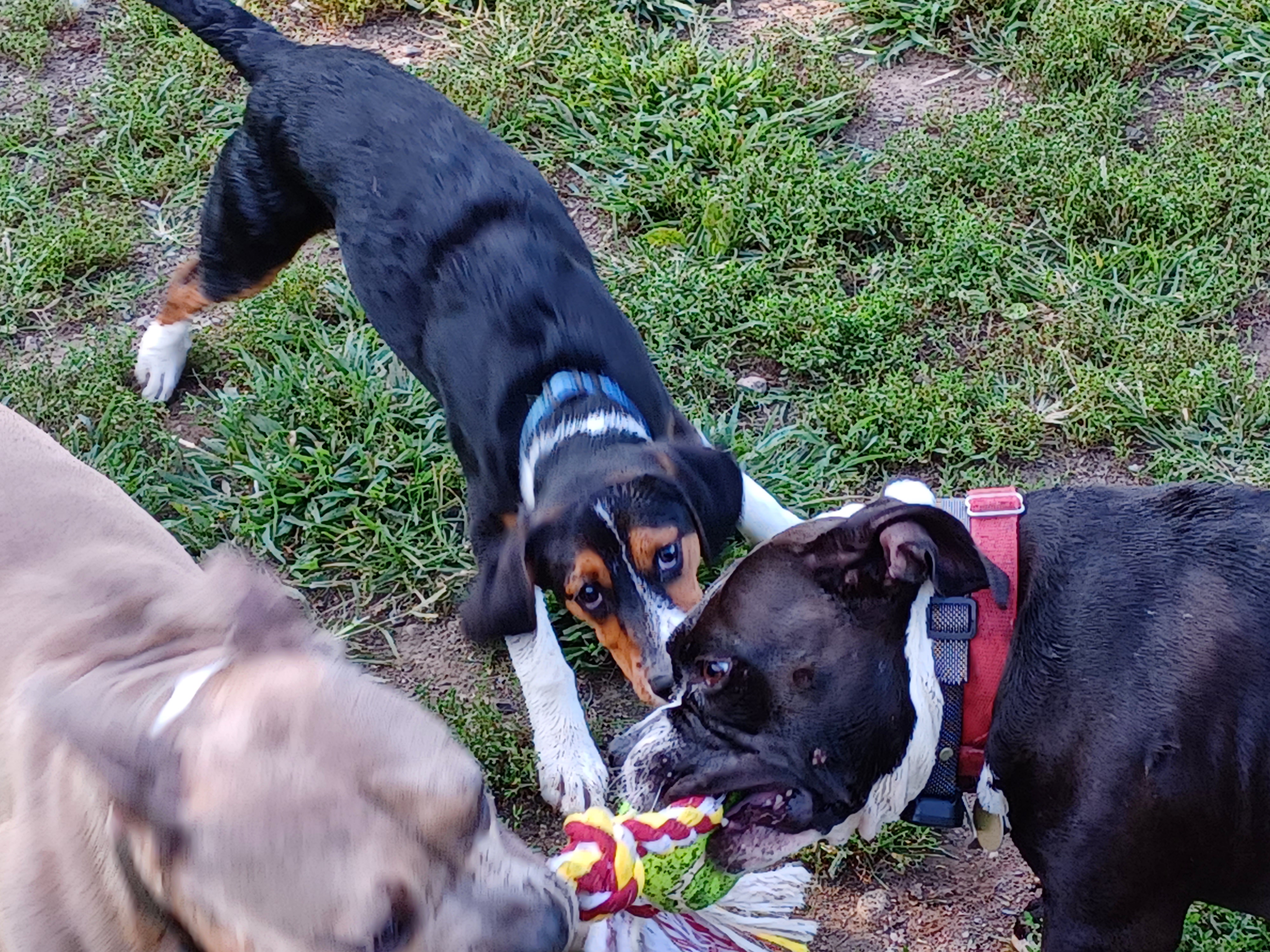 20230901_163710.jpg