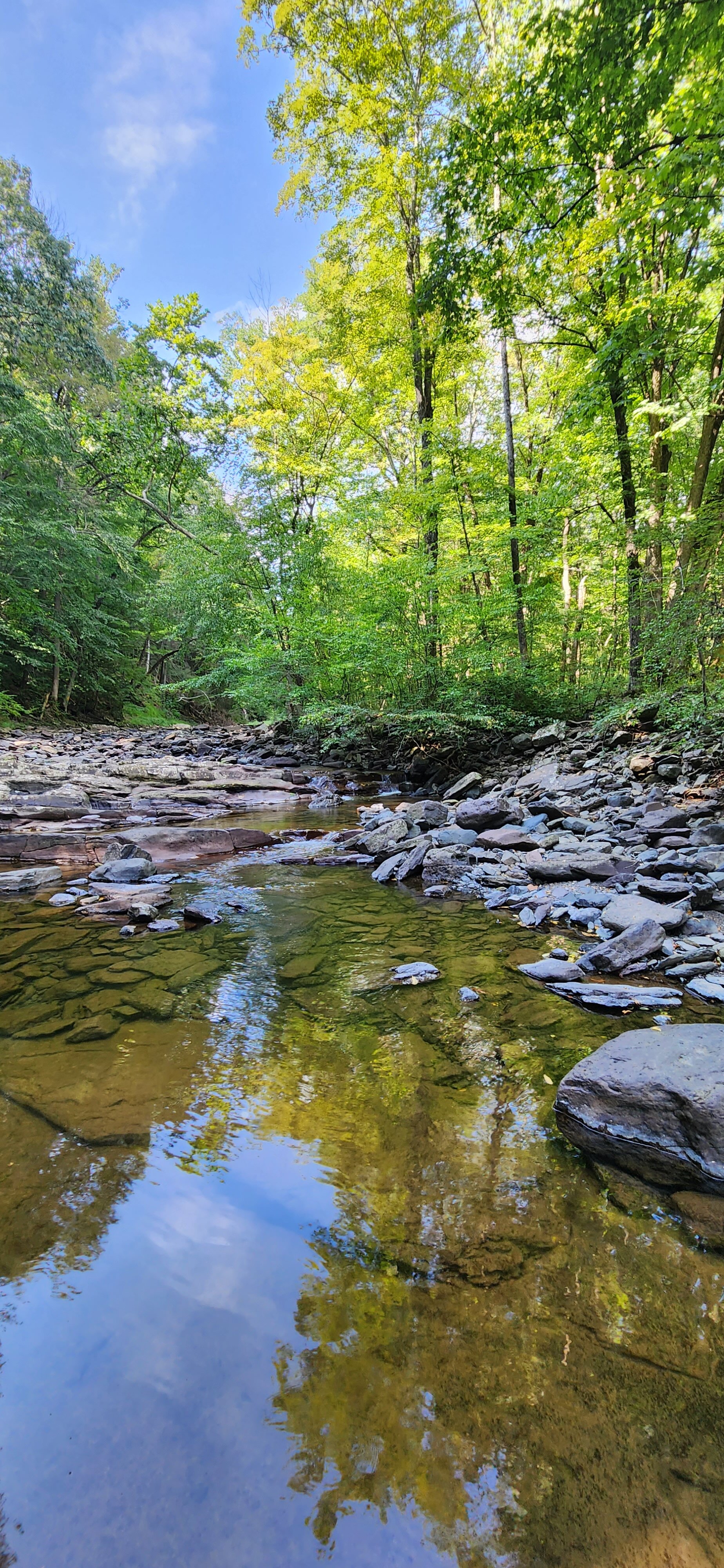 20230904_151730.jpg