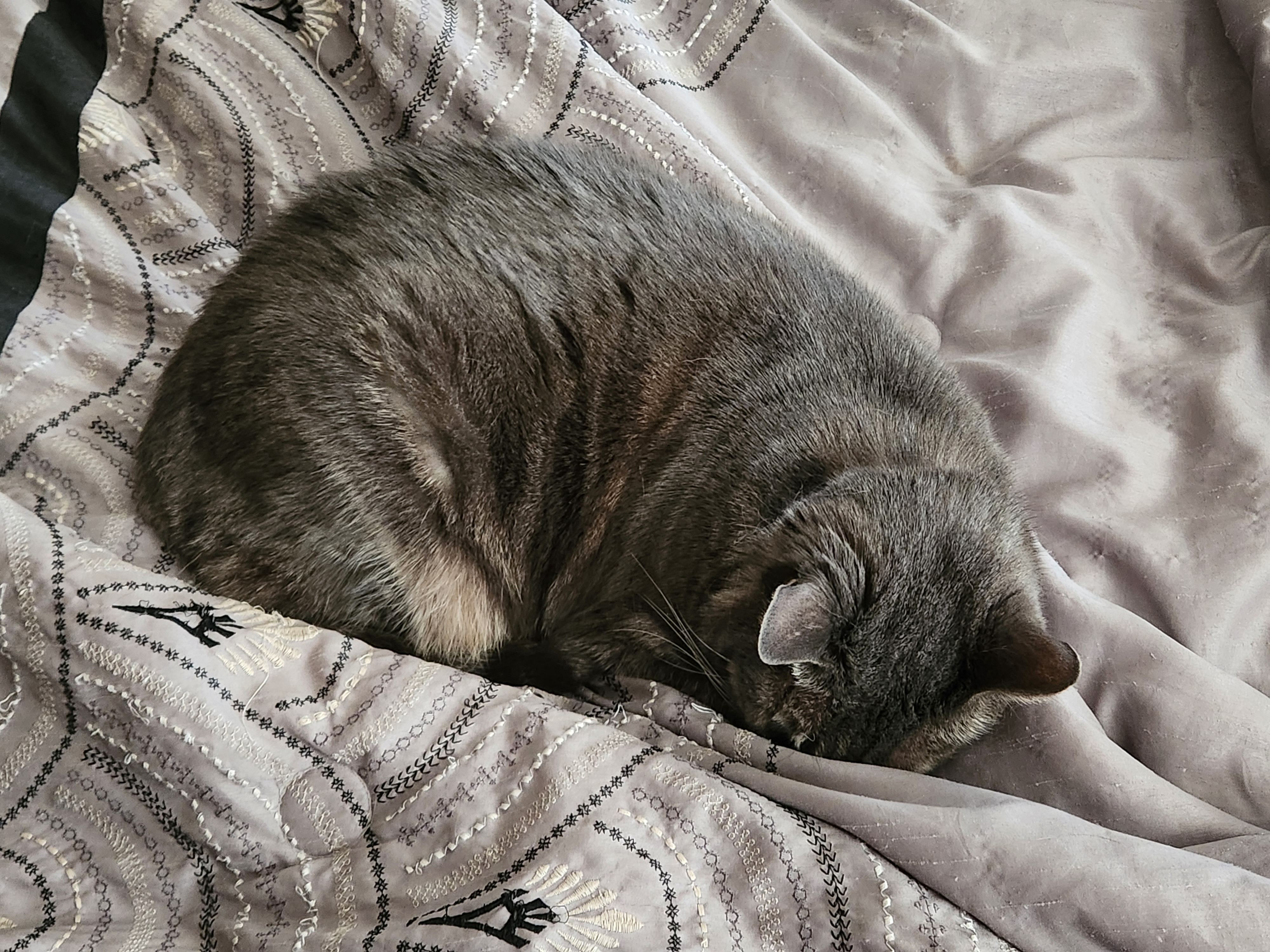 20230924_142033.jpg