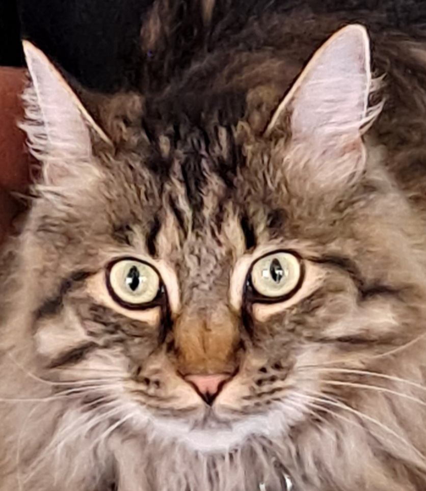 20230925_205626.jpg