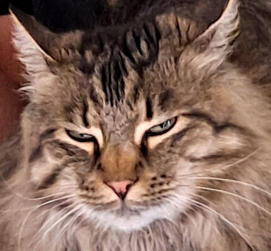 20230925_205655.jpg