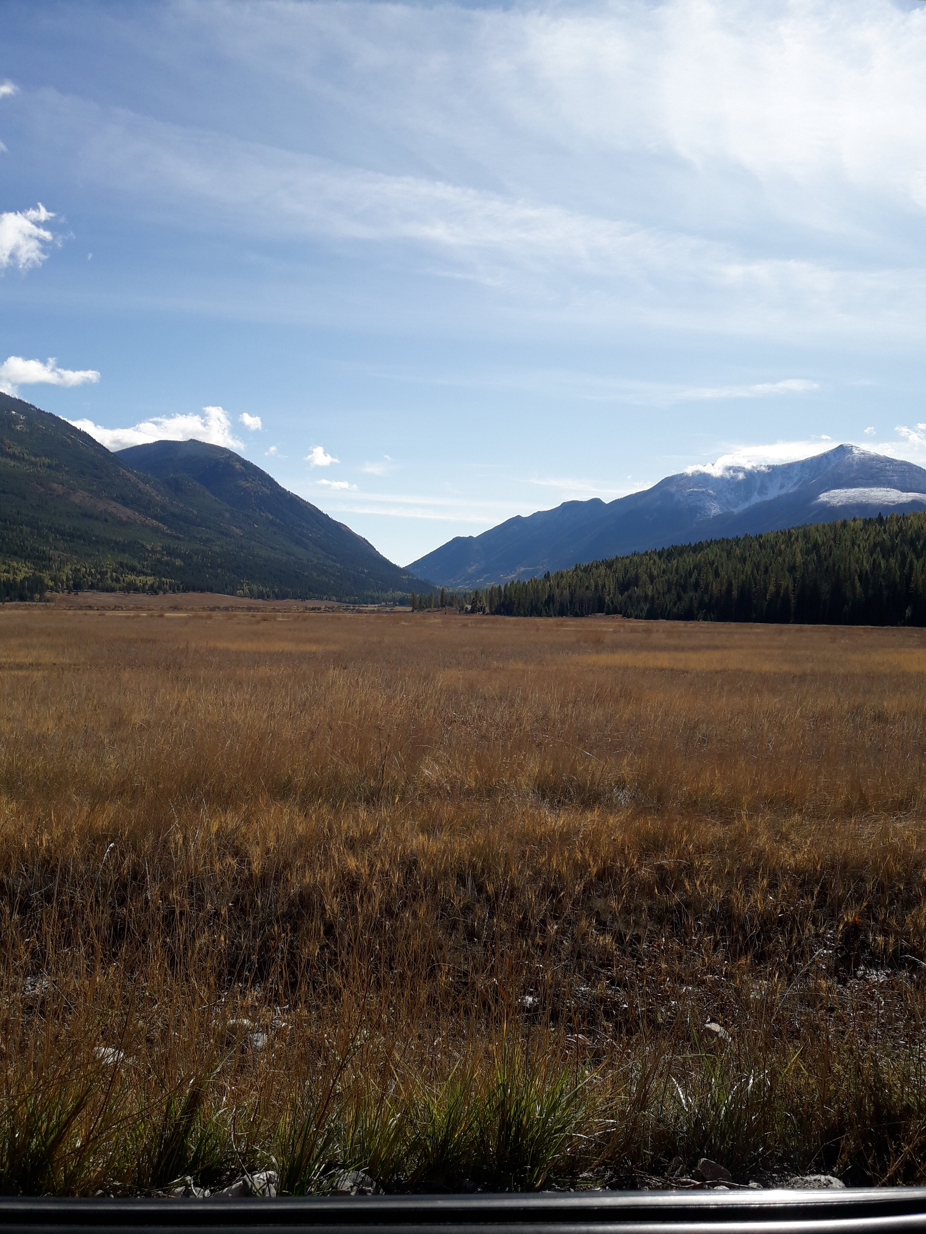20231001_124400.jpg