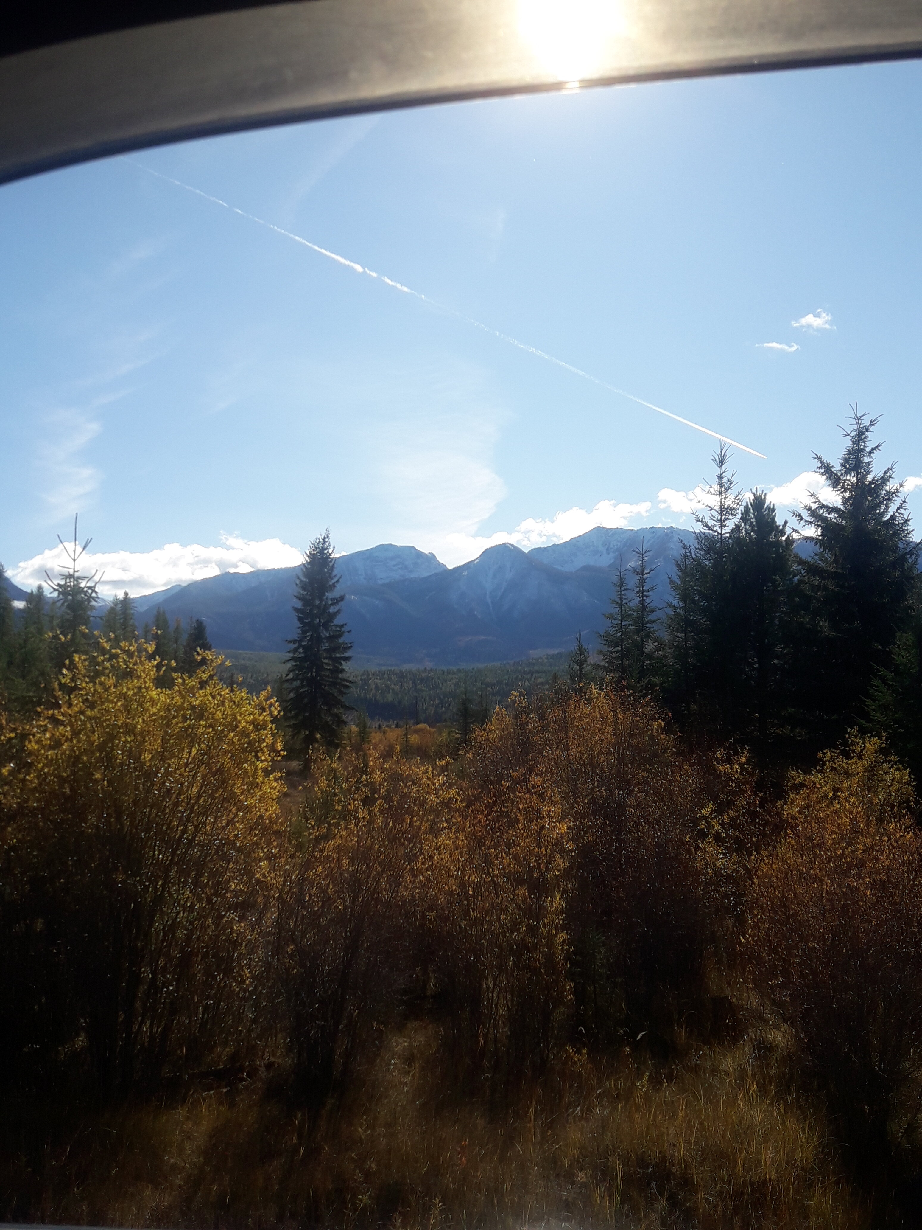 20231001_153336.jpg