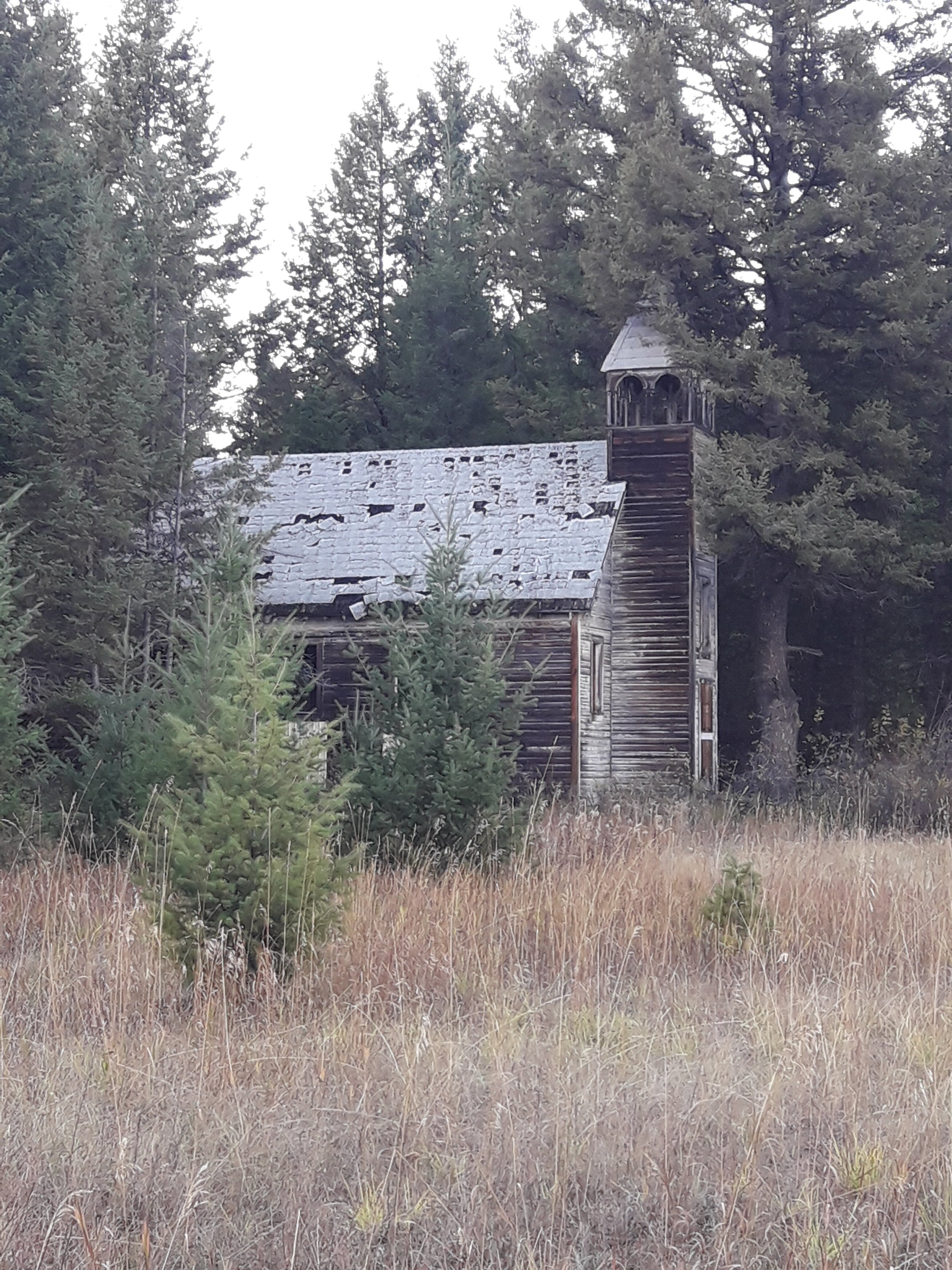 20231011_174332.jpg