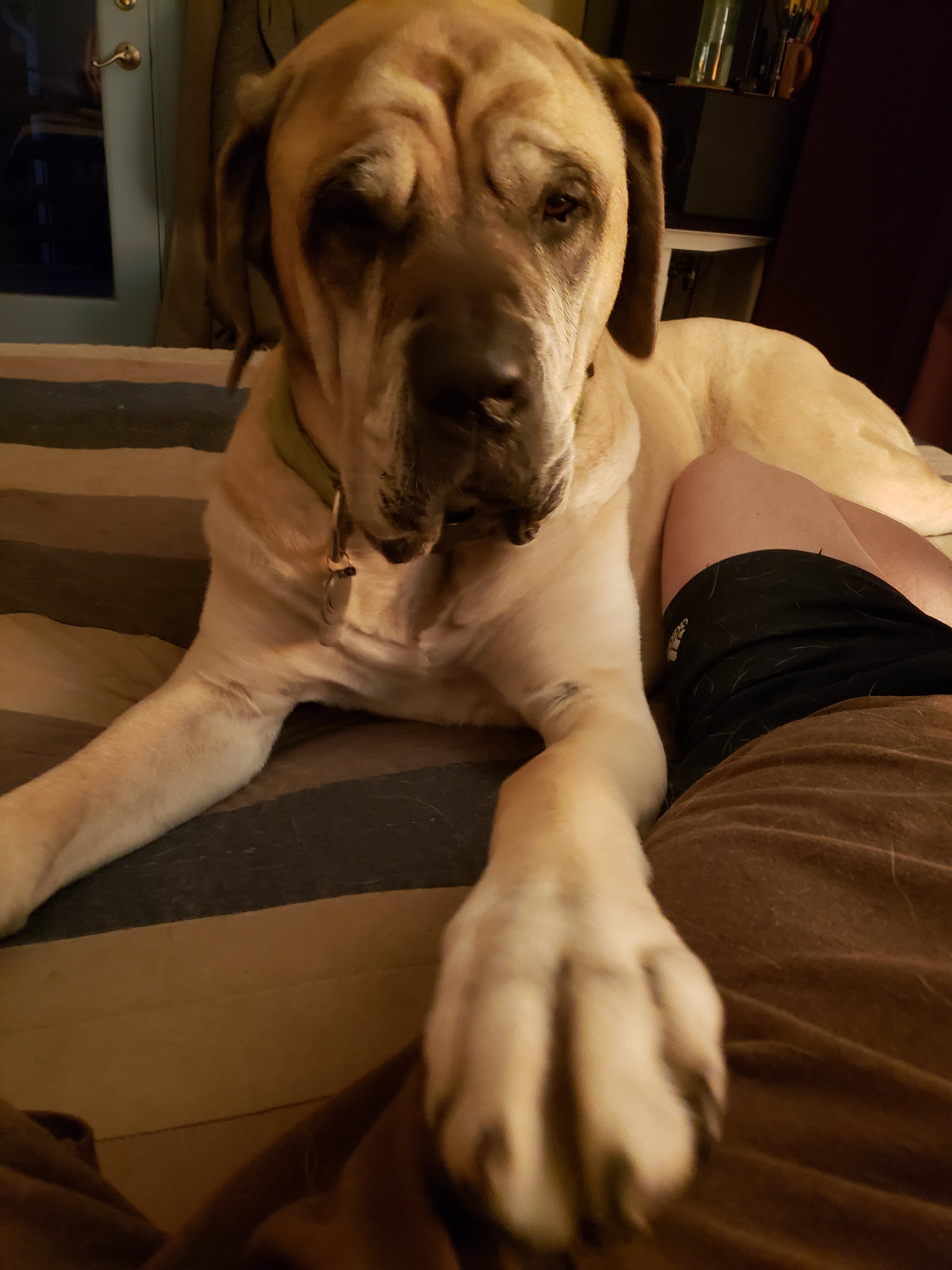 20231011_190440.jpg