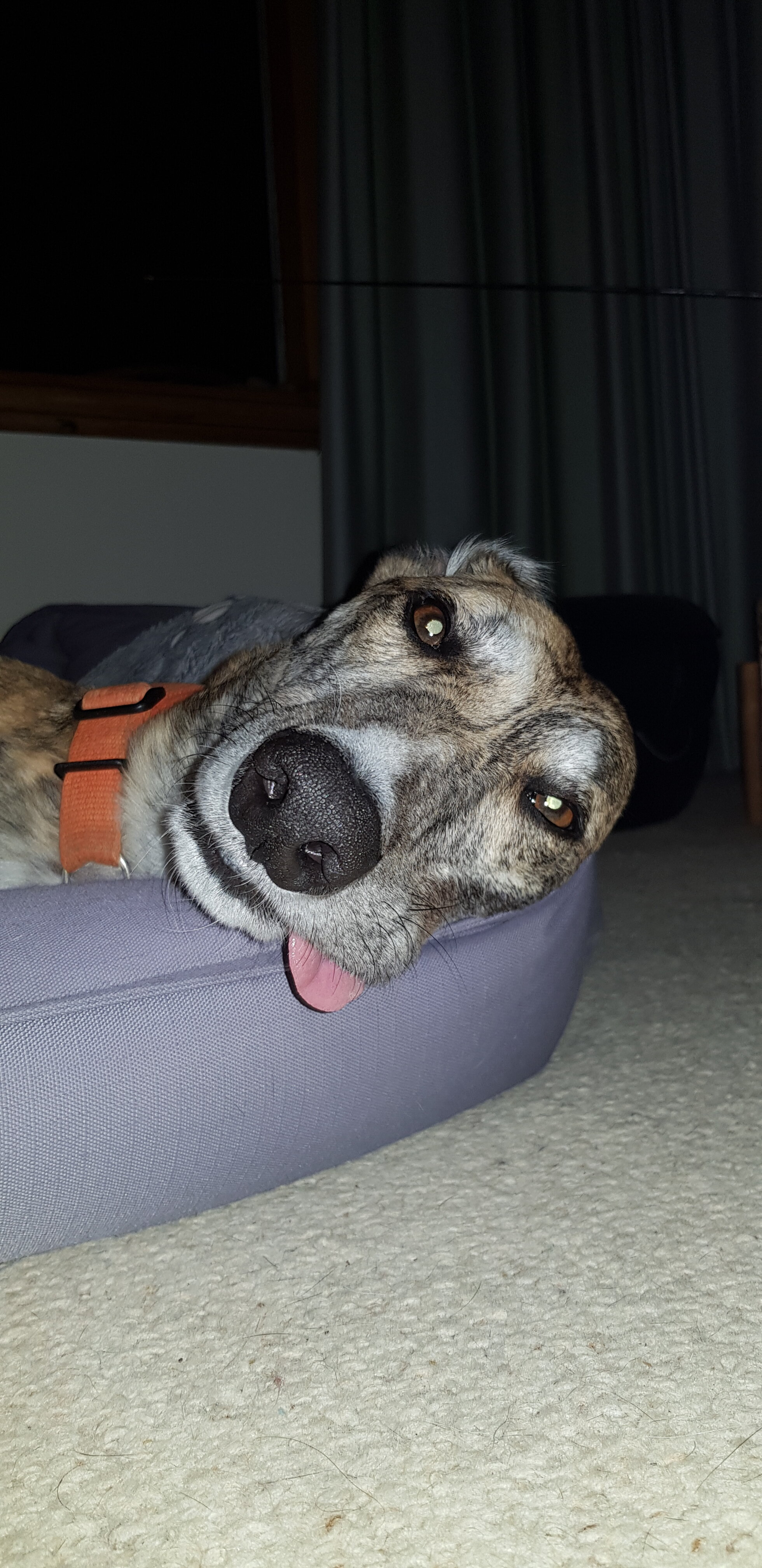 20231012_201053.jpg