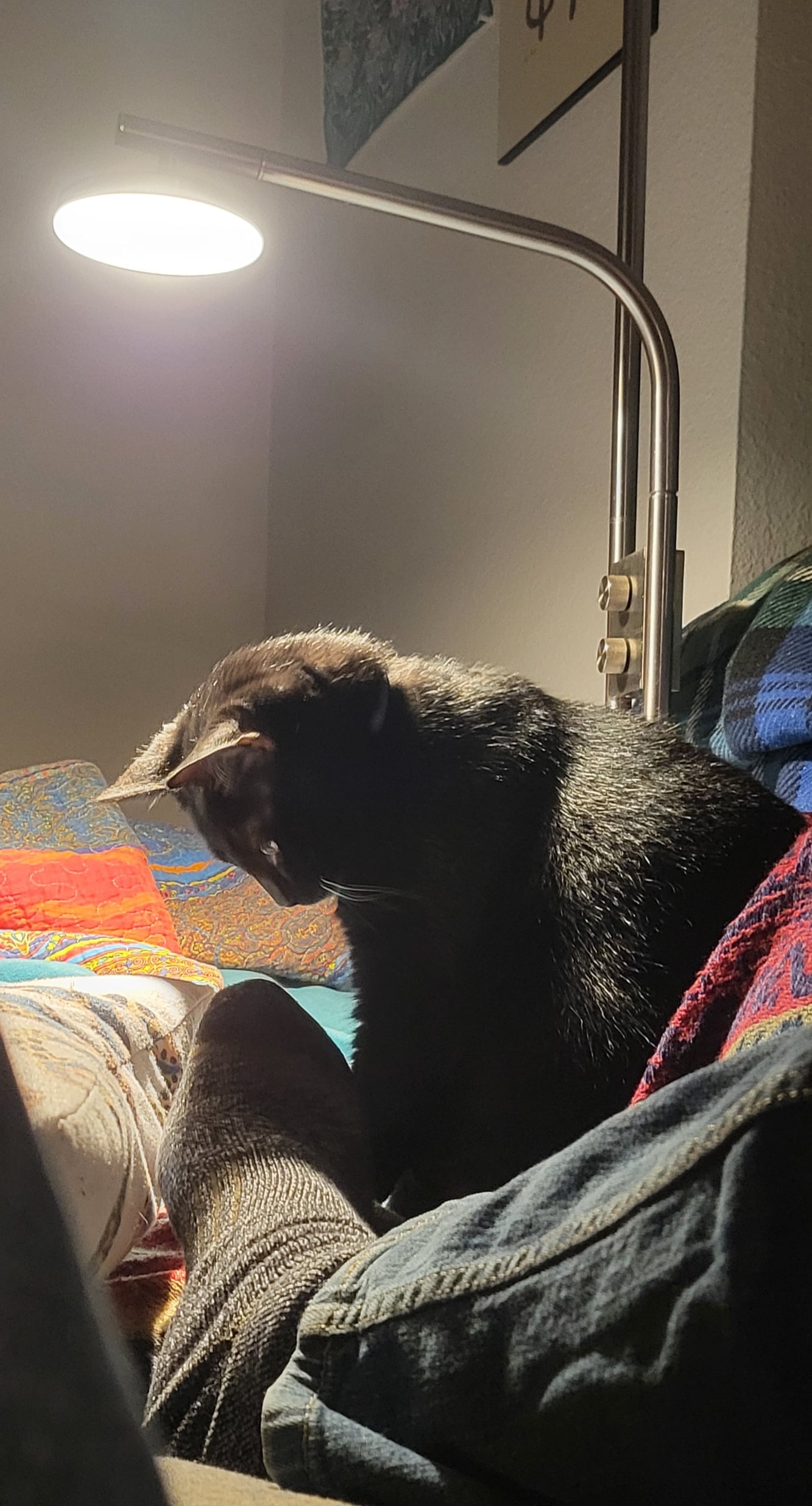 20231018_202343.jpg