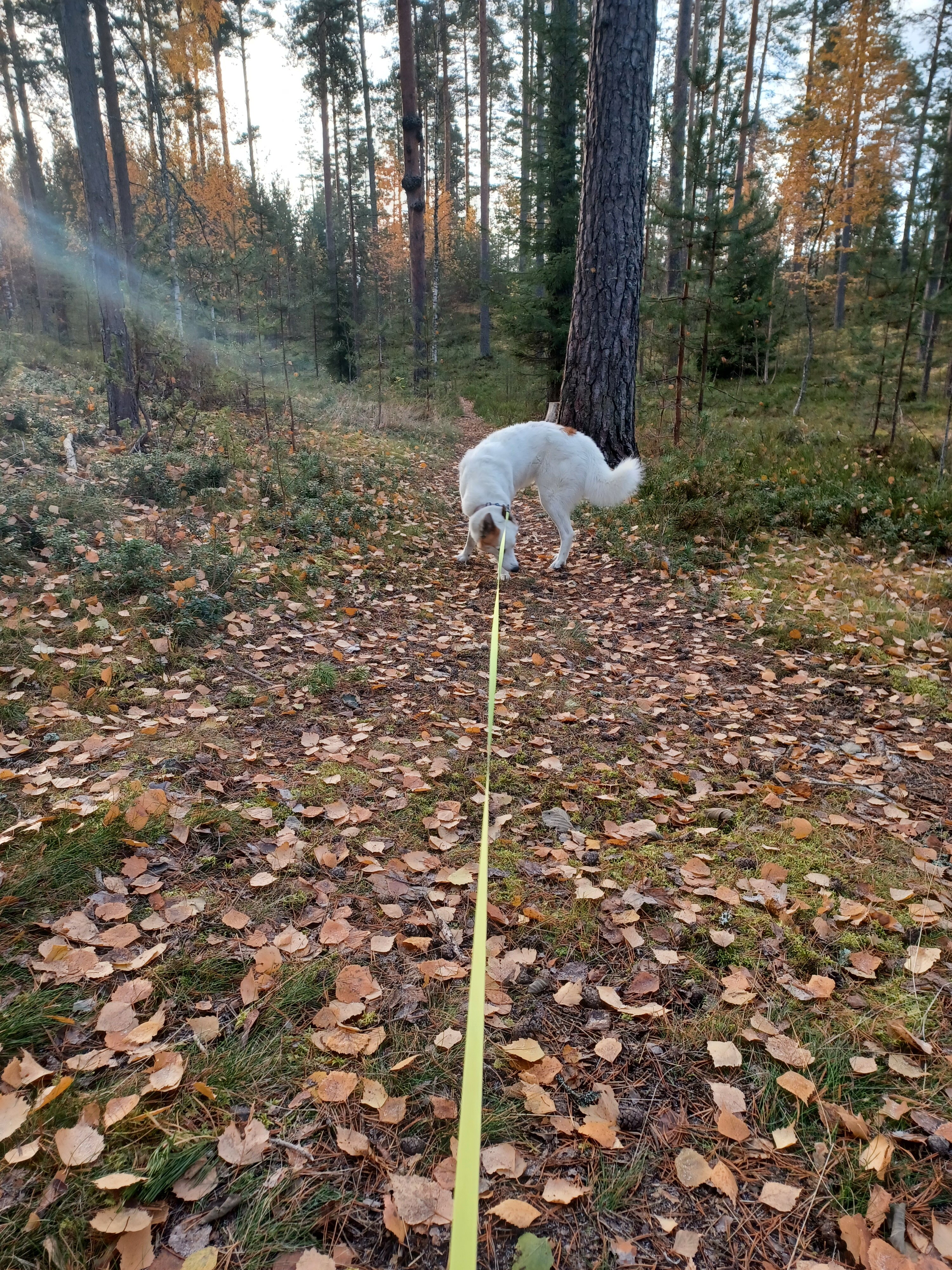 20231024_102237.jpg
