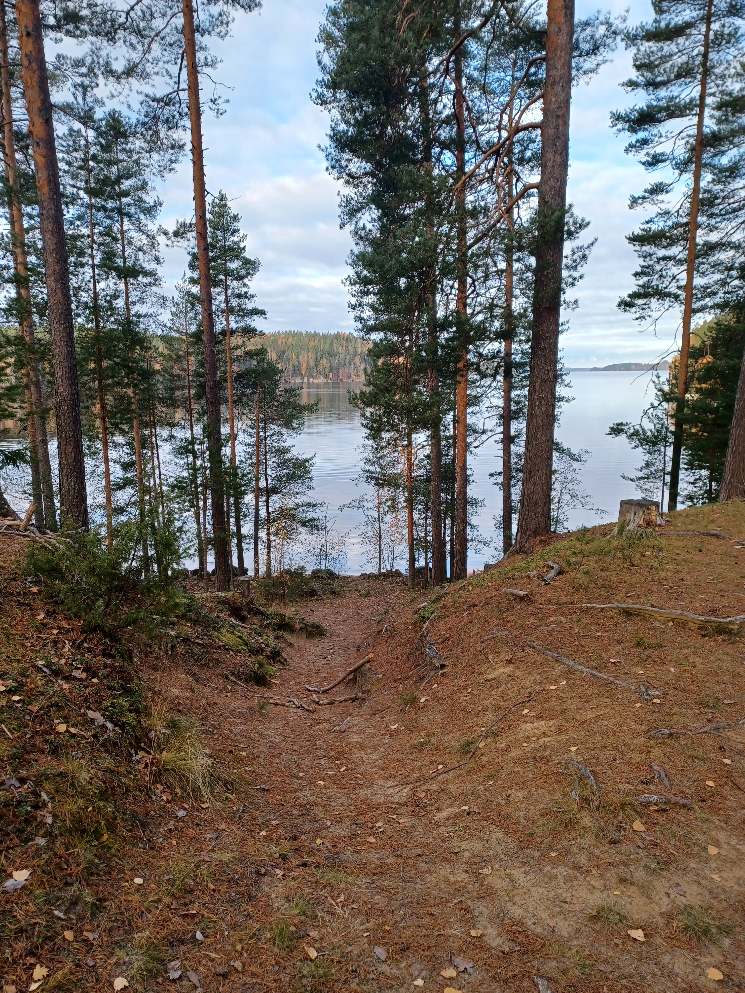 20231024_102328.jpg