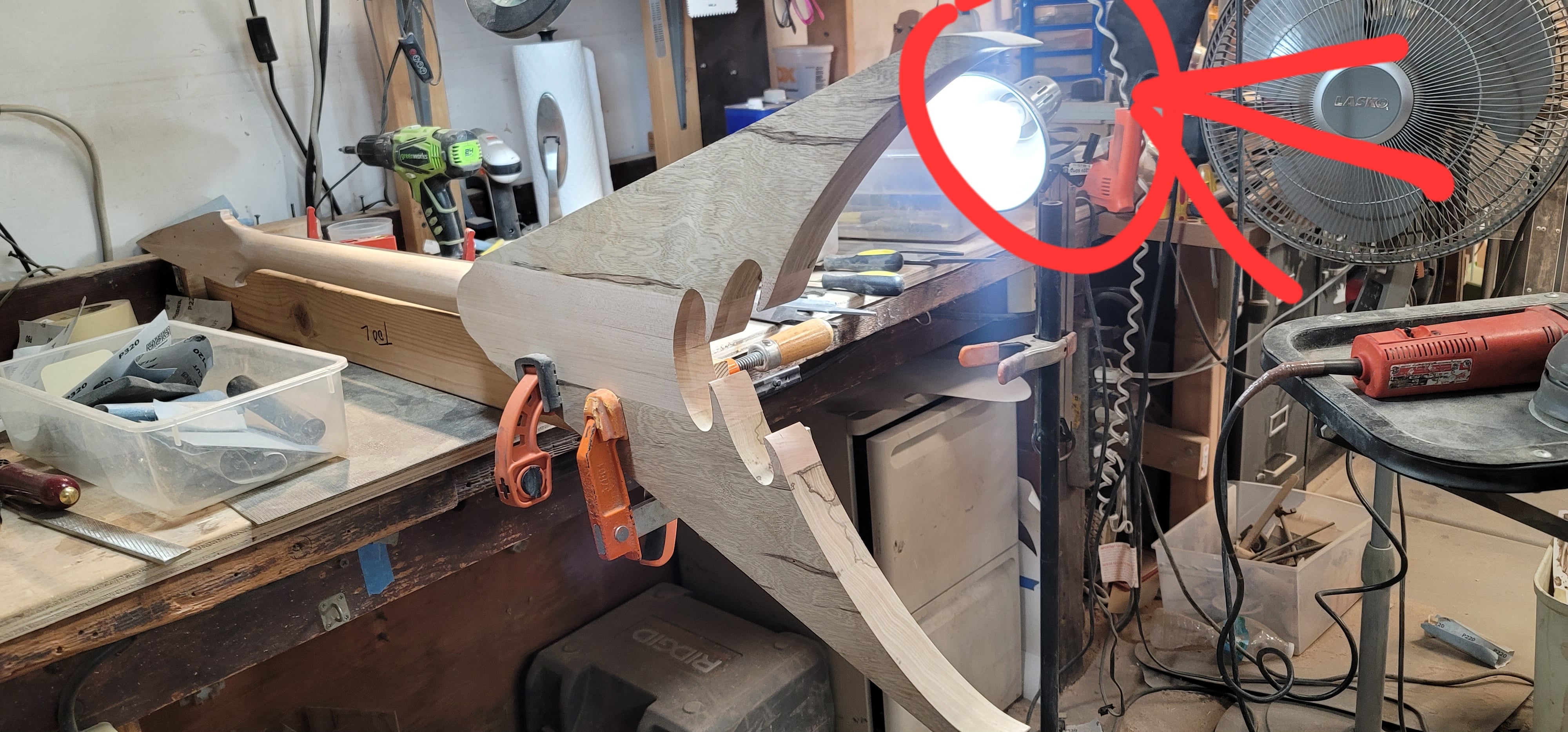 20231109_132623.jpg