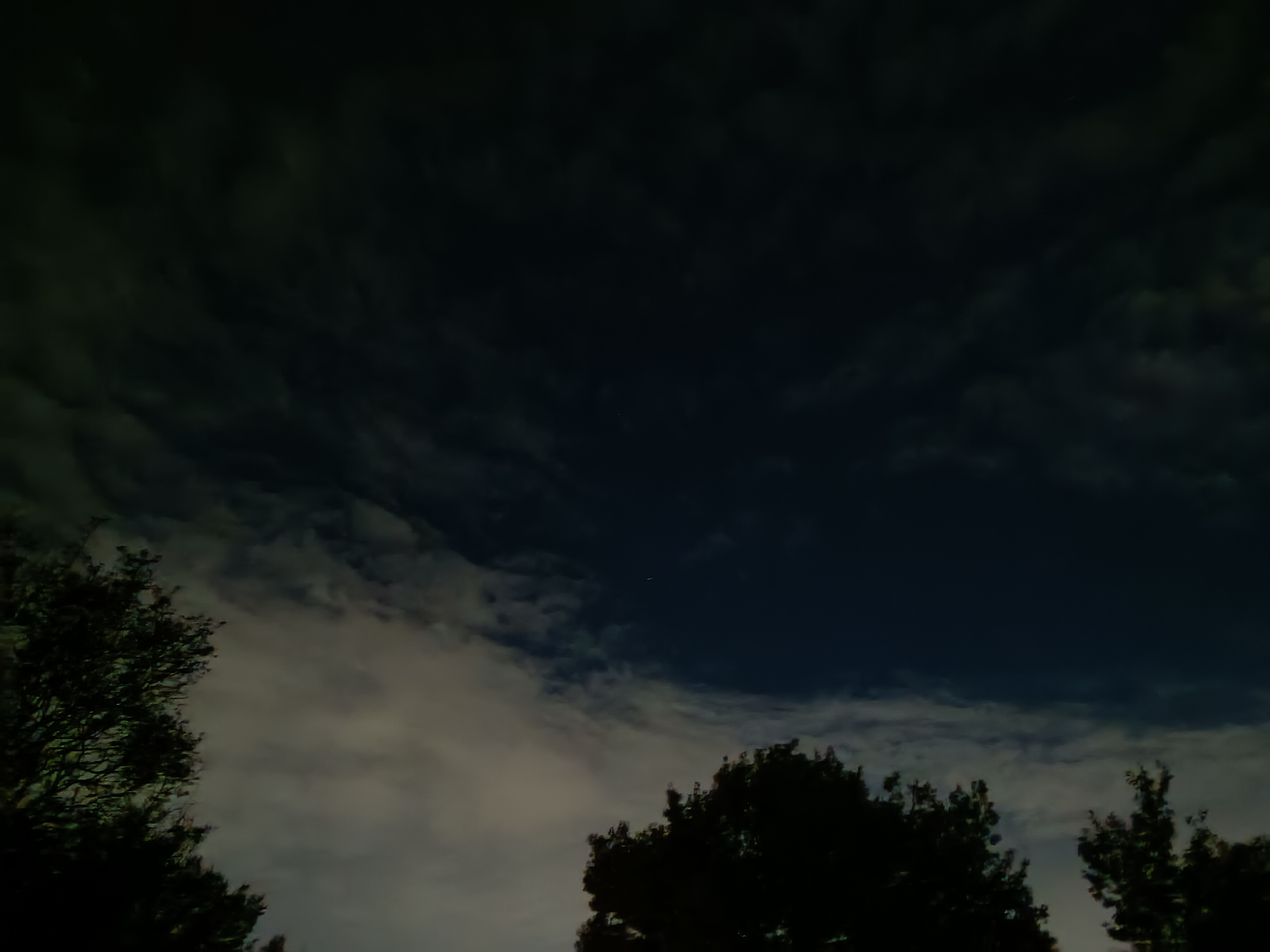 20231112_234638.jpg