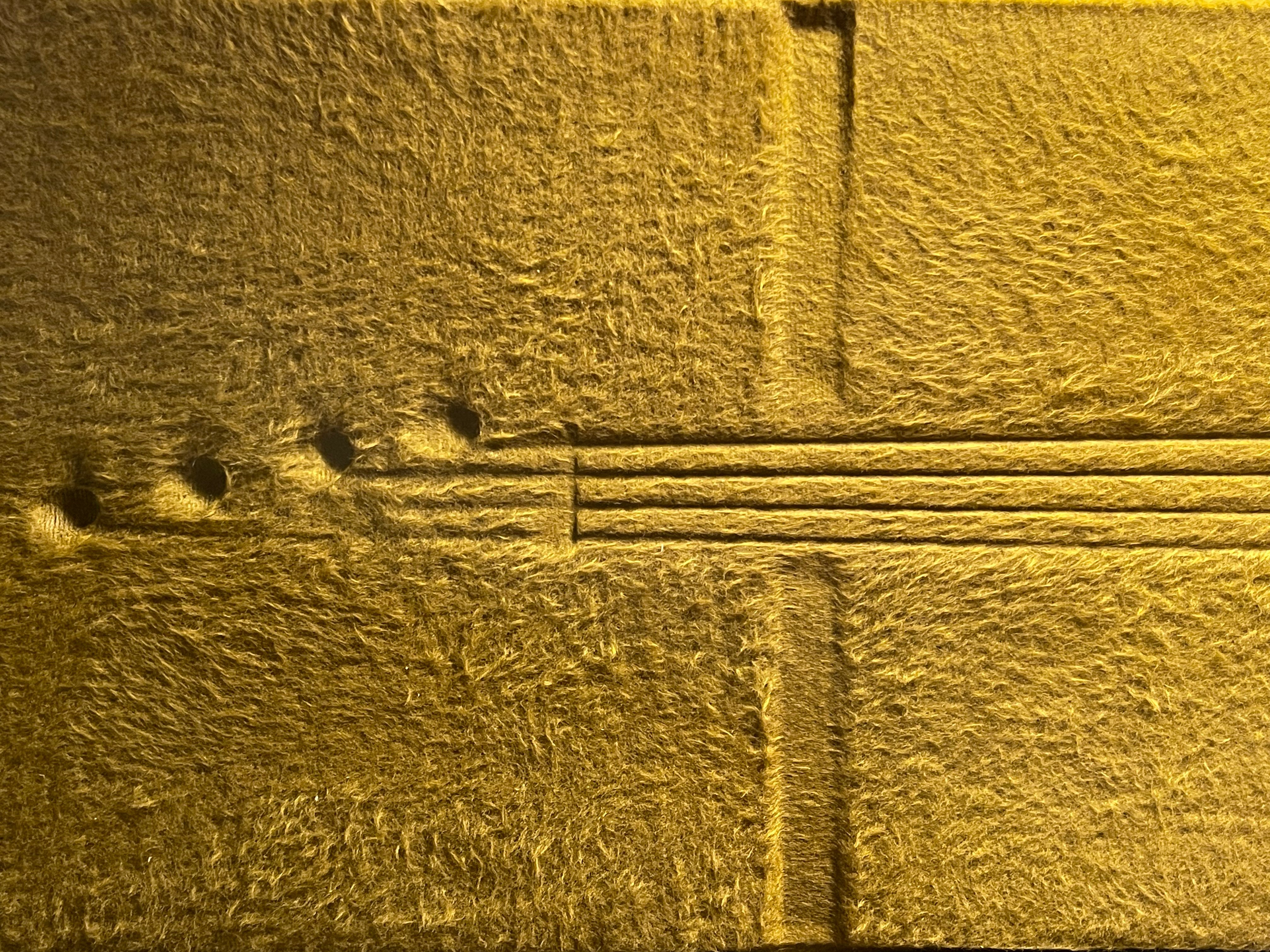 20231114_051435652_iOS.jpg