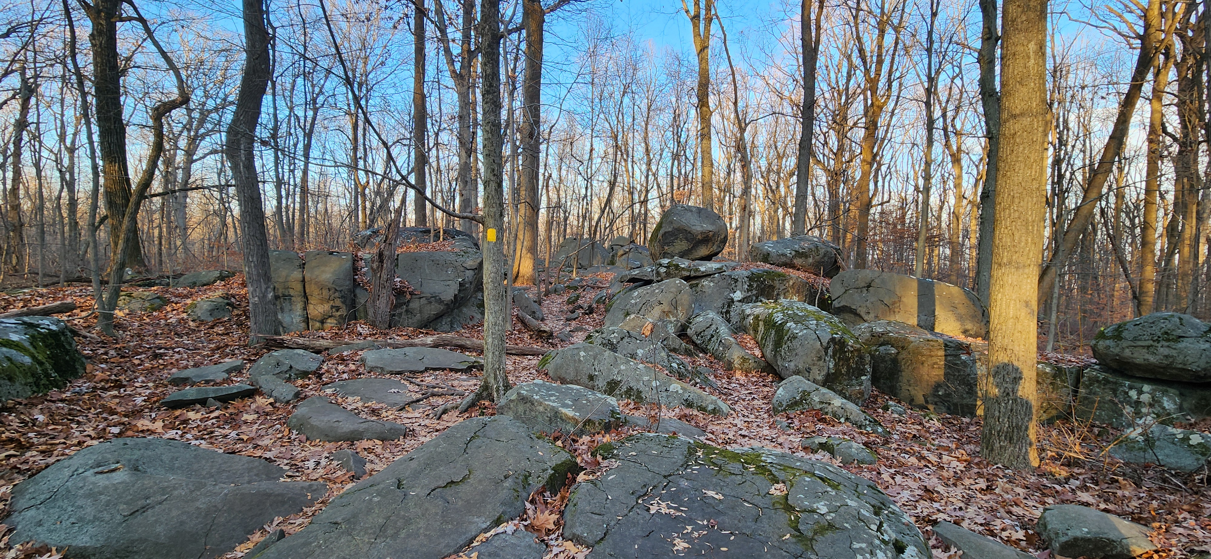 20231208_152541.jpg