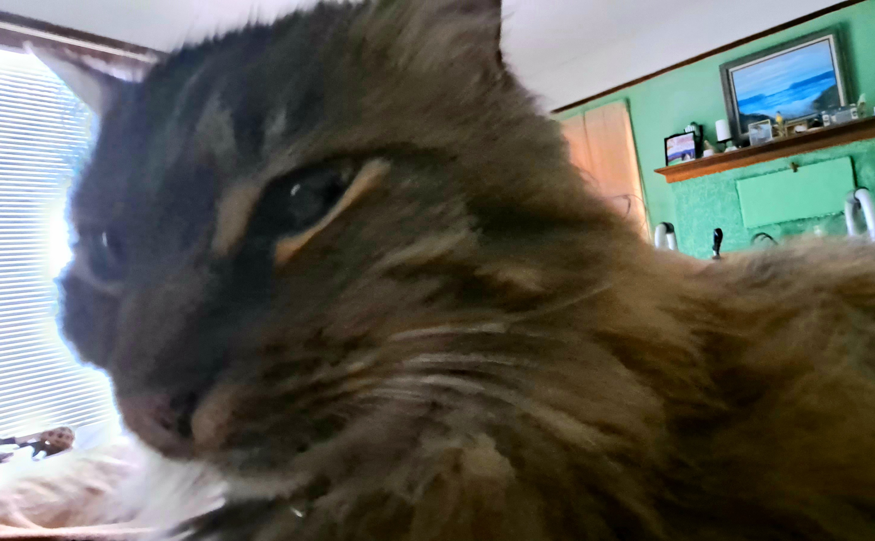 20231231_172739.jpg