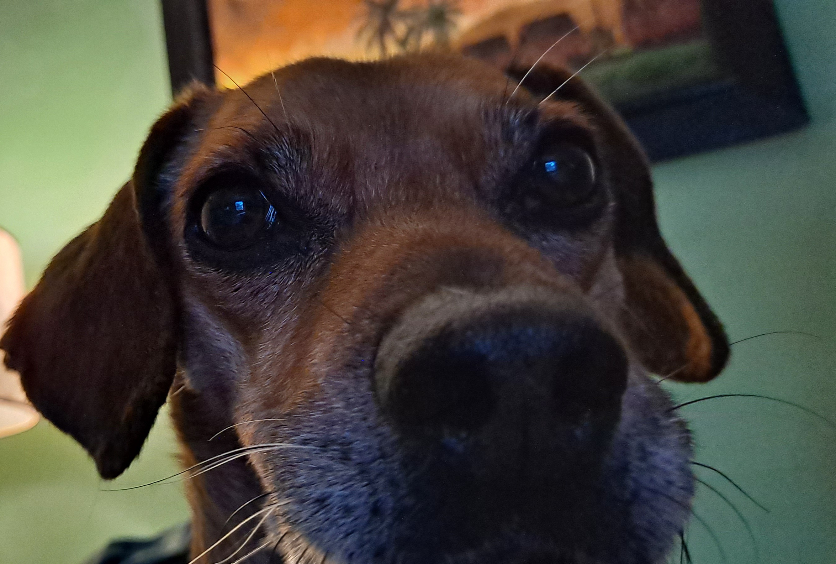20240127_105704.jpg