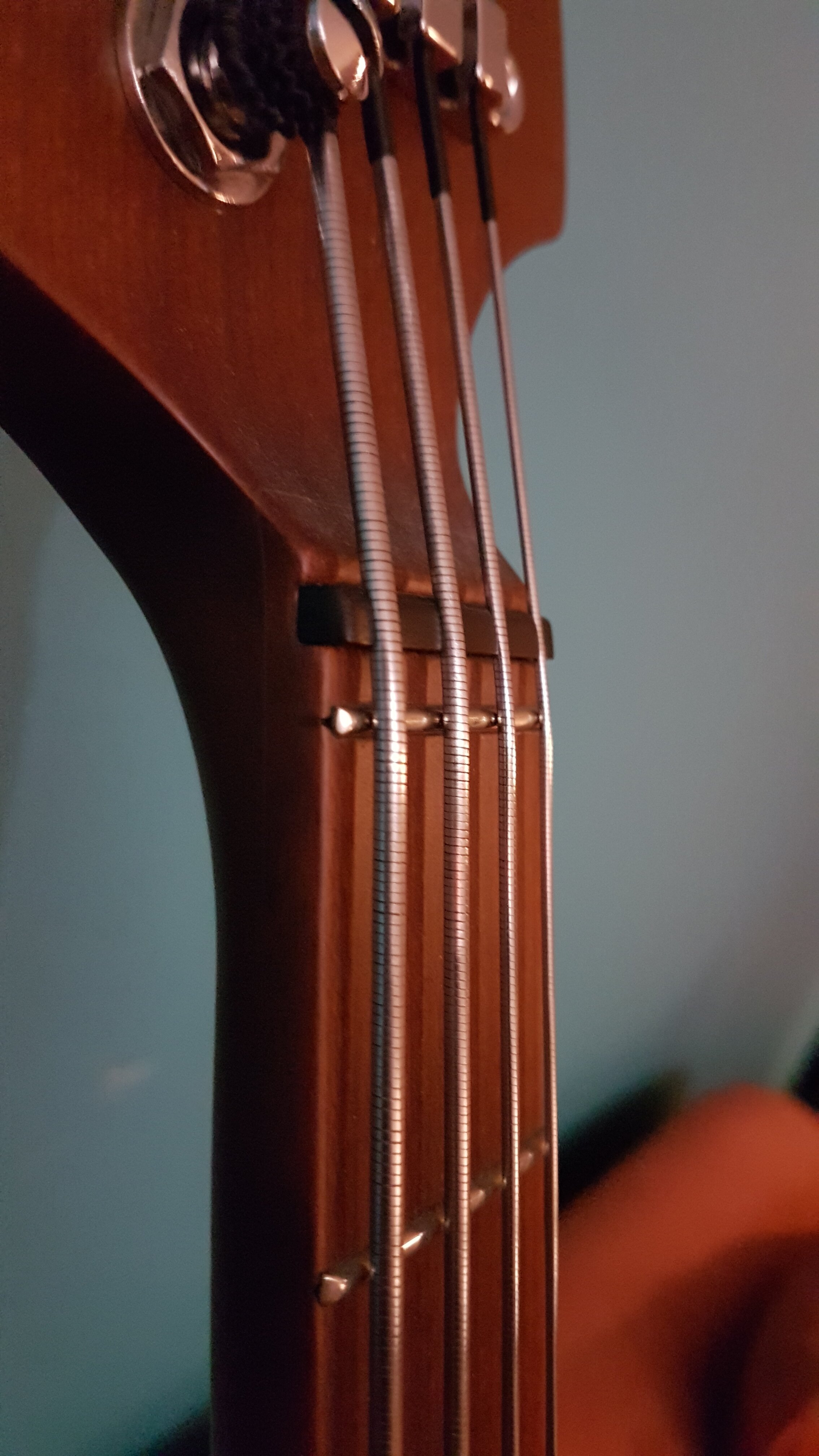 20240213_012540.jpg