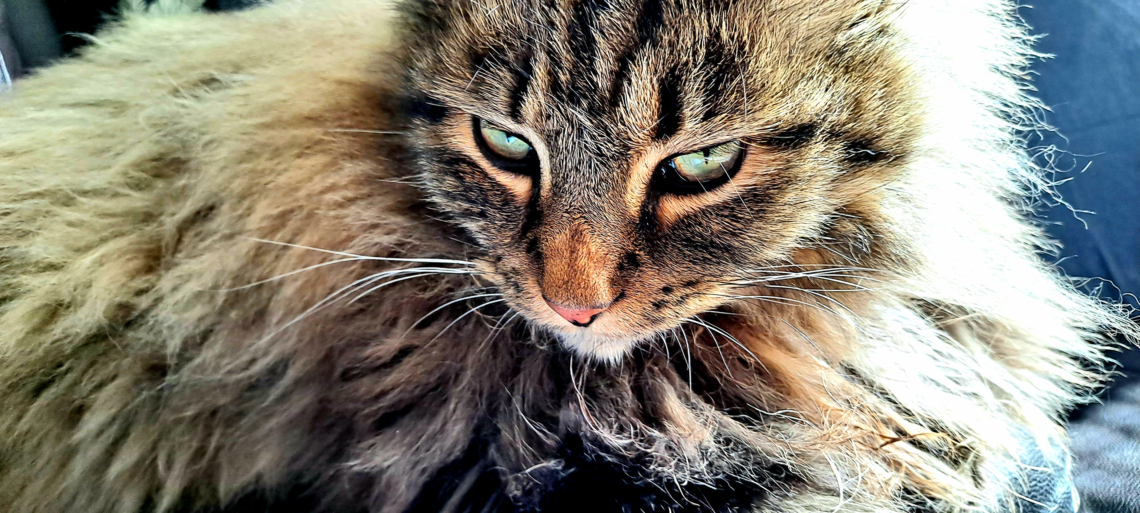 20240223_130950.jpg