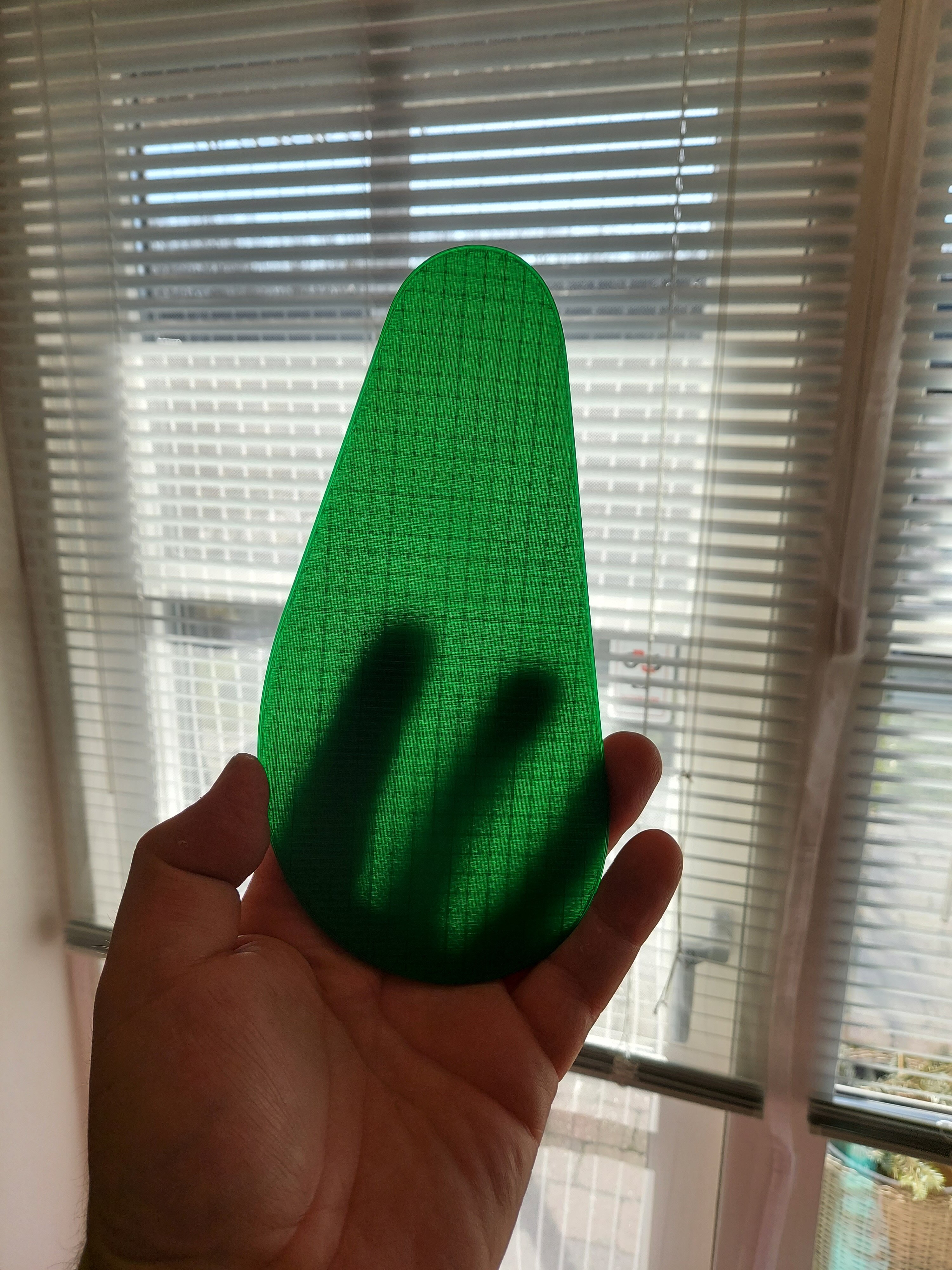 20240224_115551.jpg