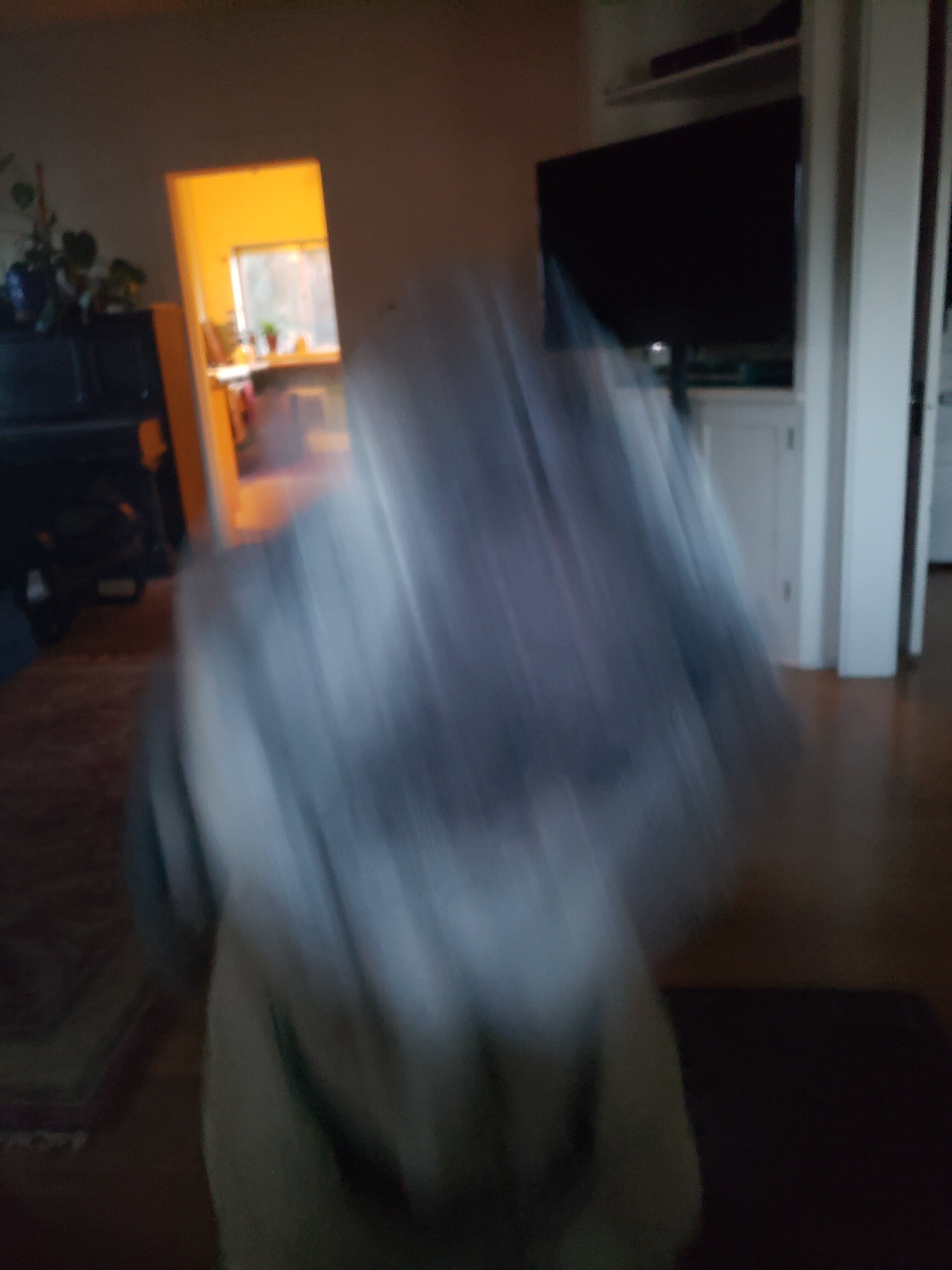 20240308_180230.jpg
