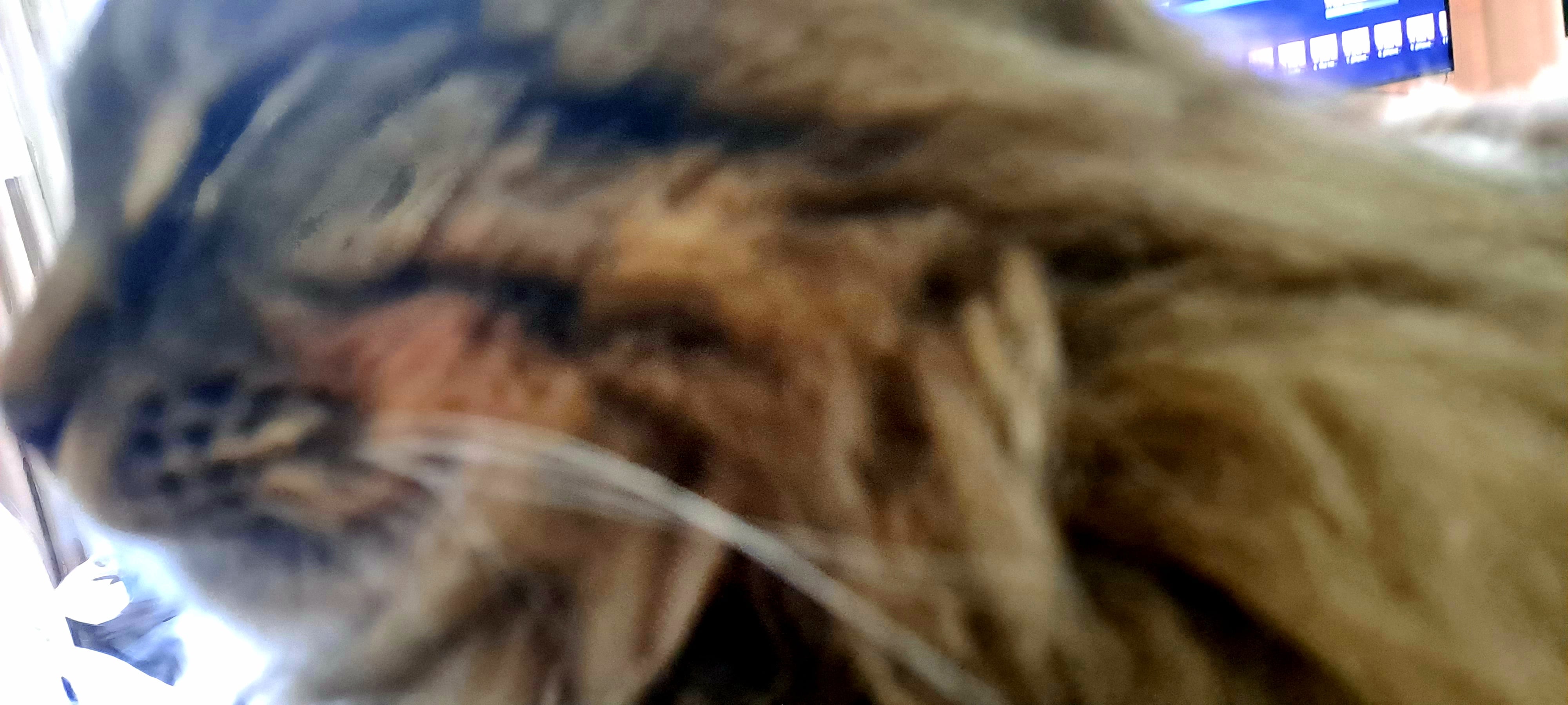20240323_165809.jpg