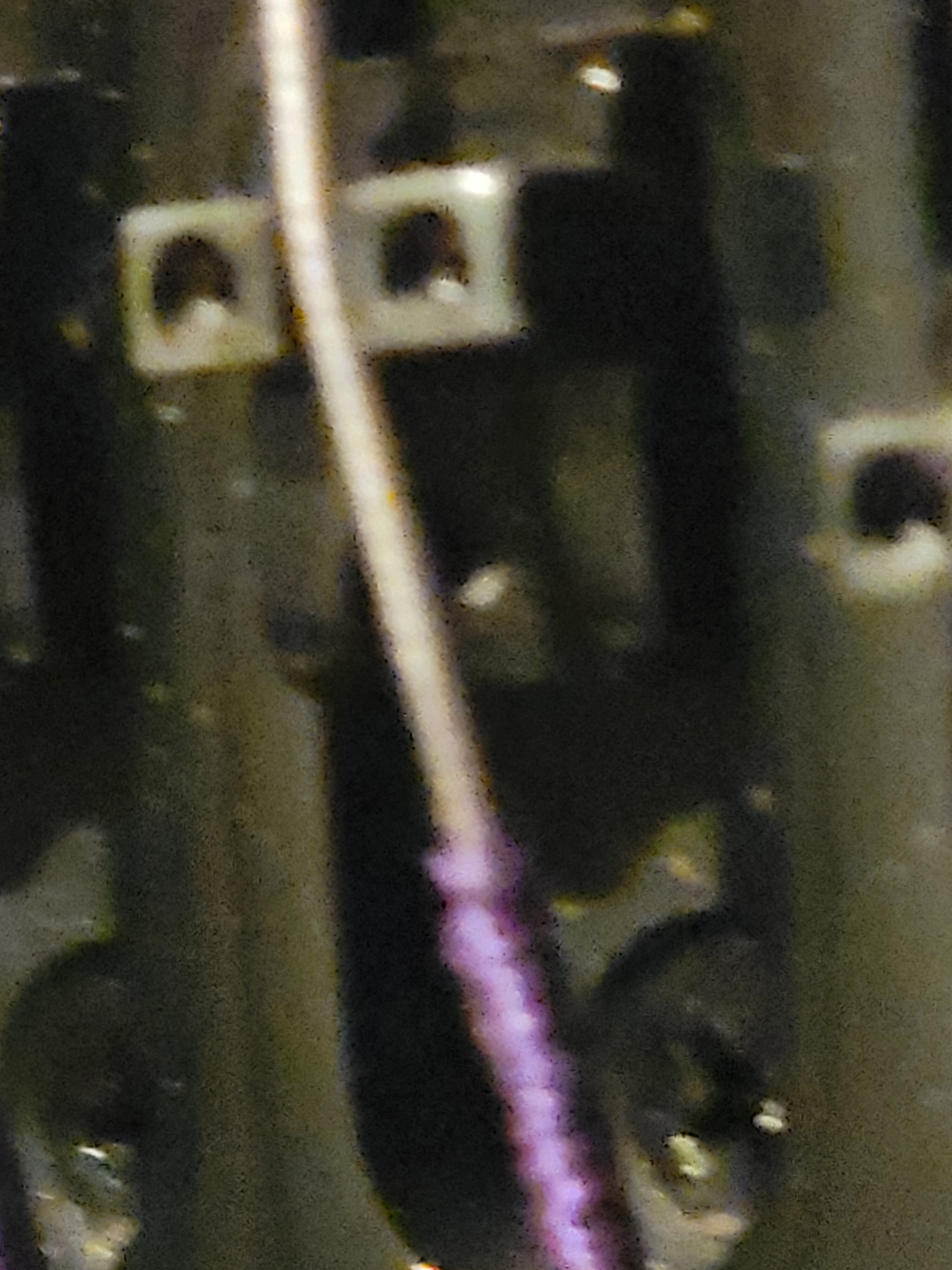 20240327_224841.jpg