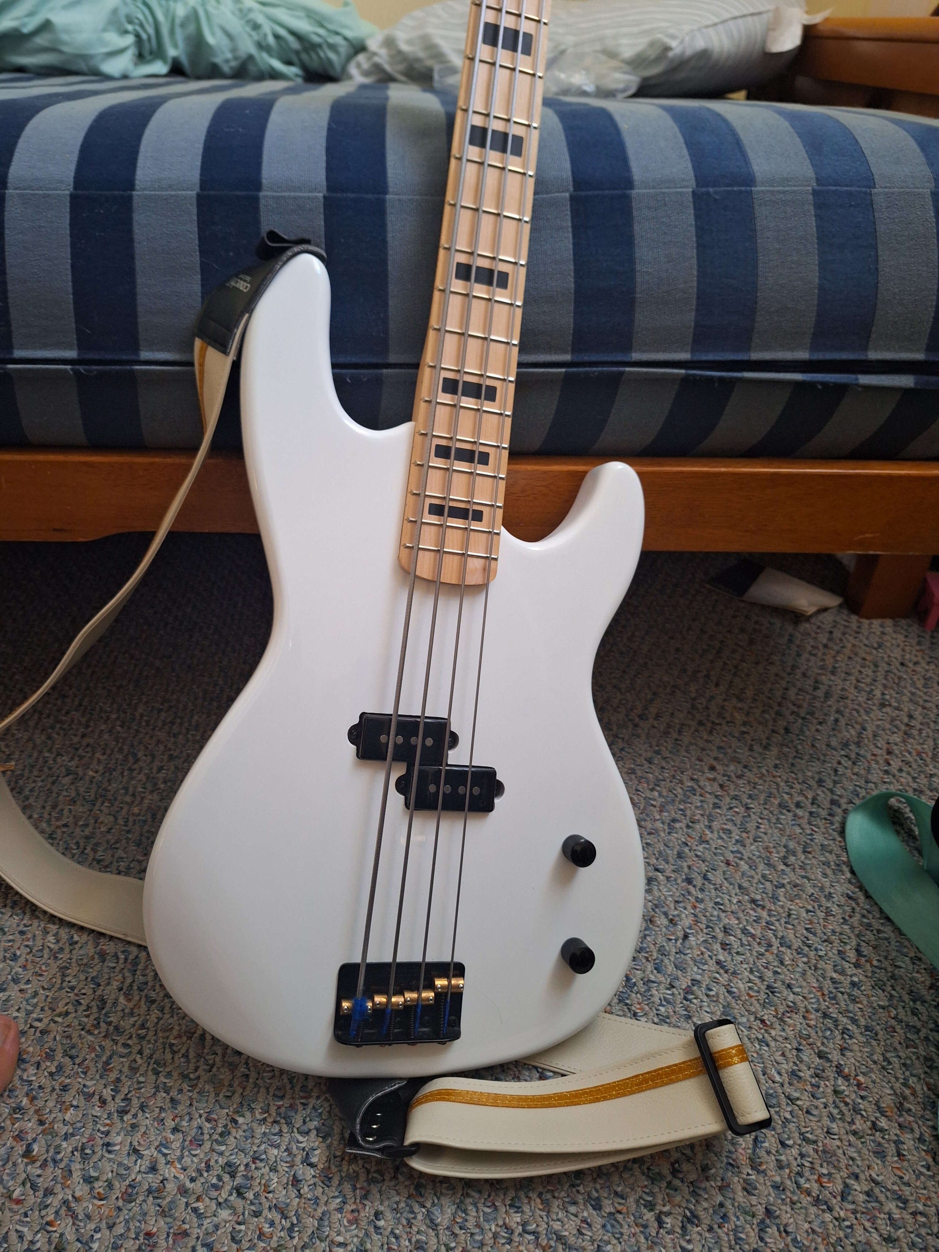 20240415_104645.jpg