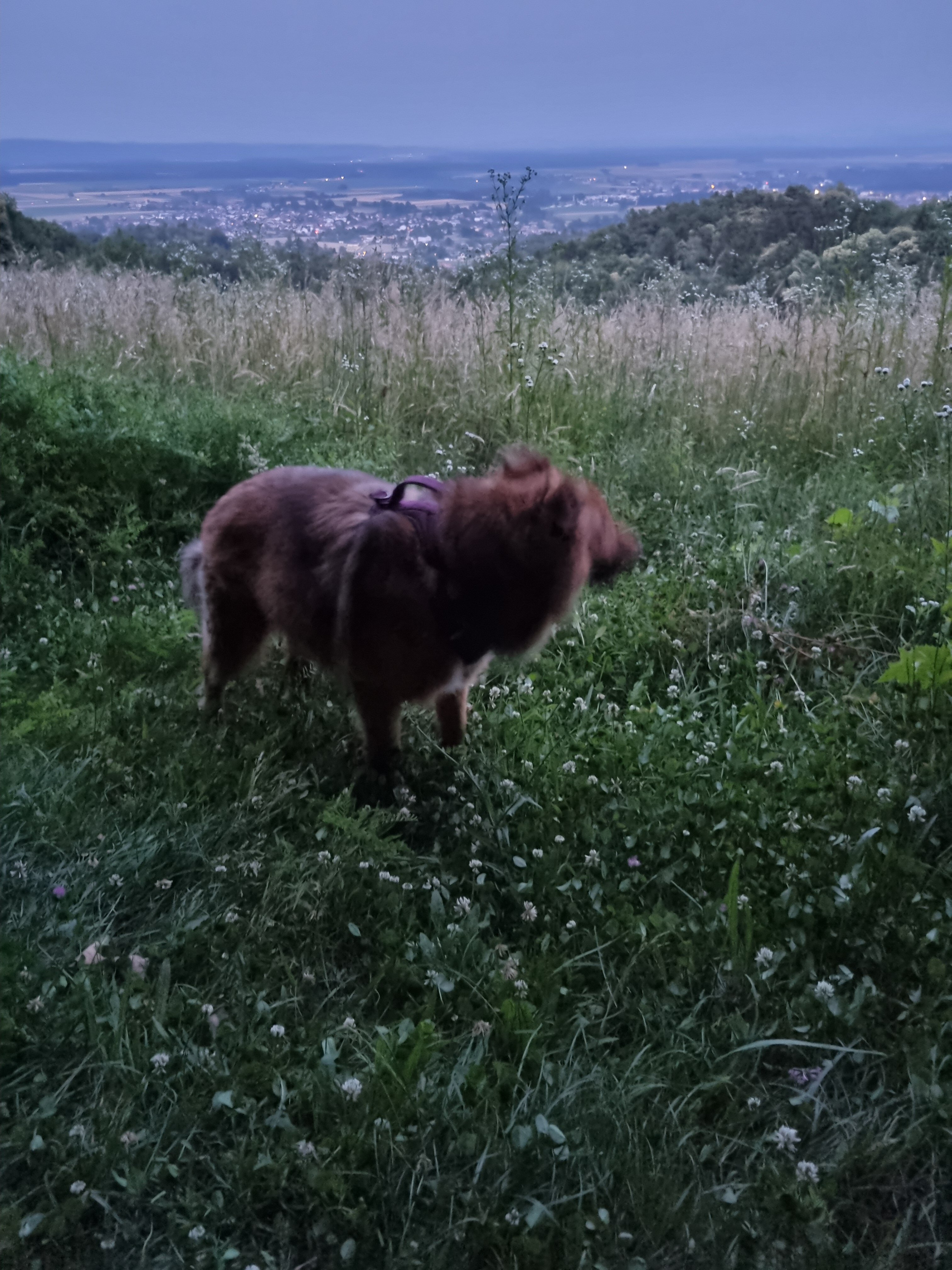 20240620_211940.jpg