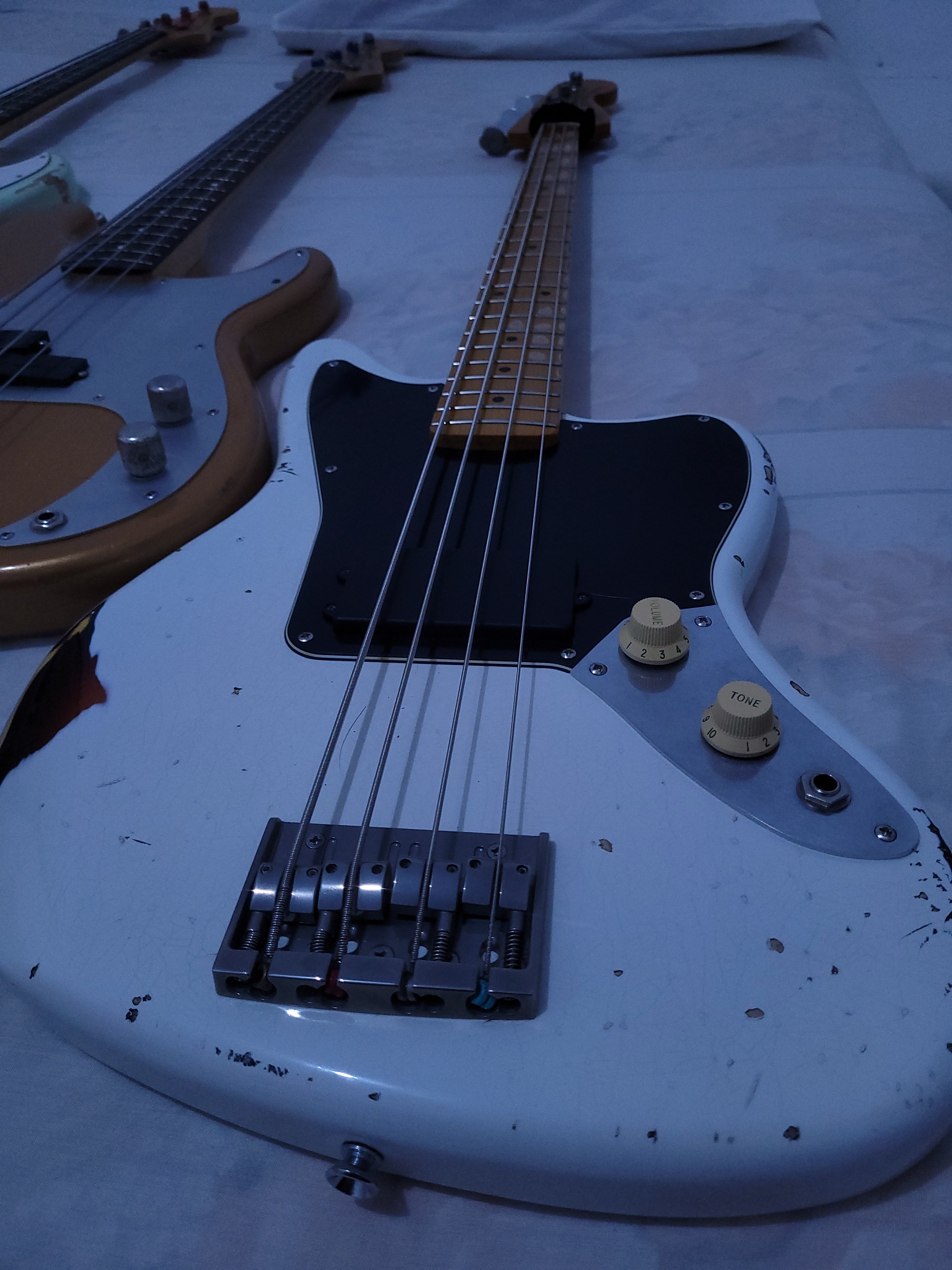 20241009_041313.jpg