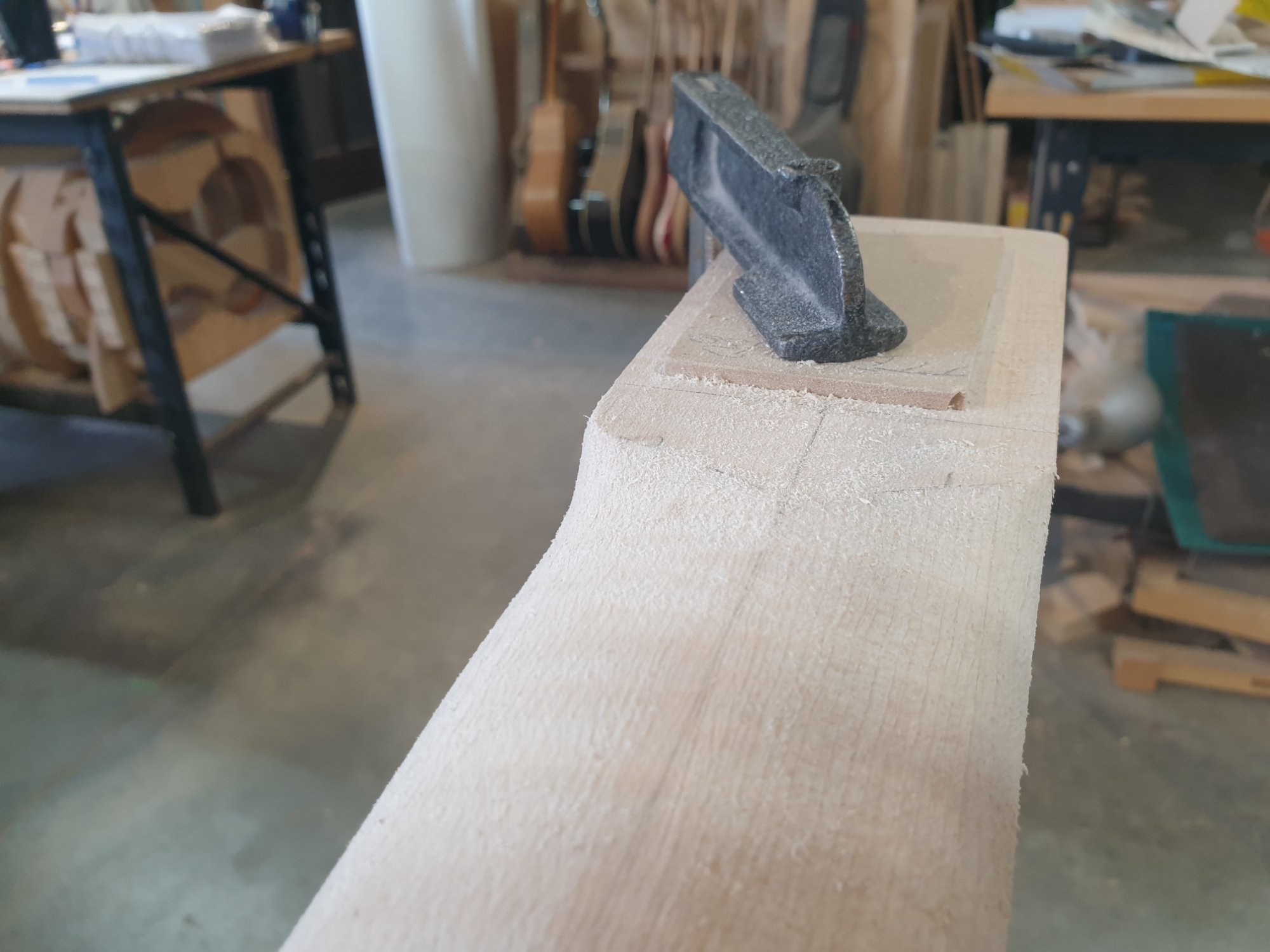 20250503_142238.jpg
