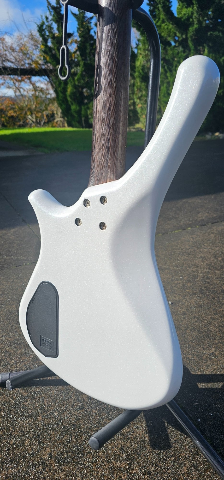 20250530_104706.jpg