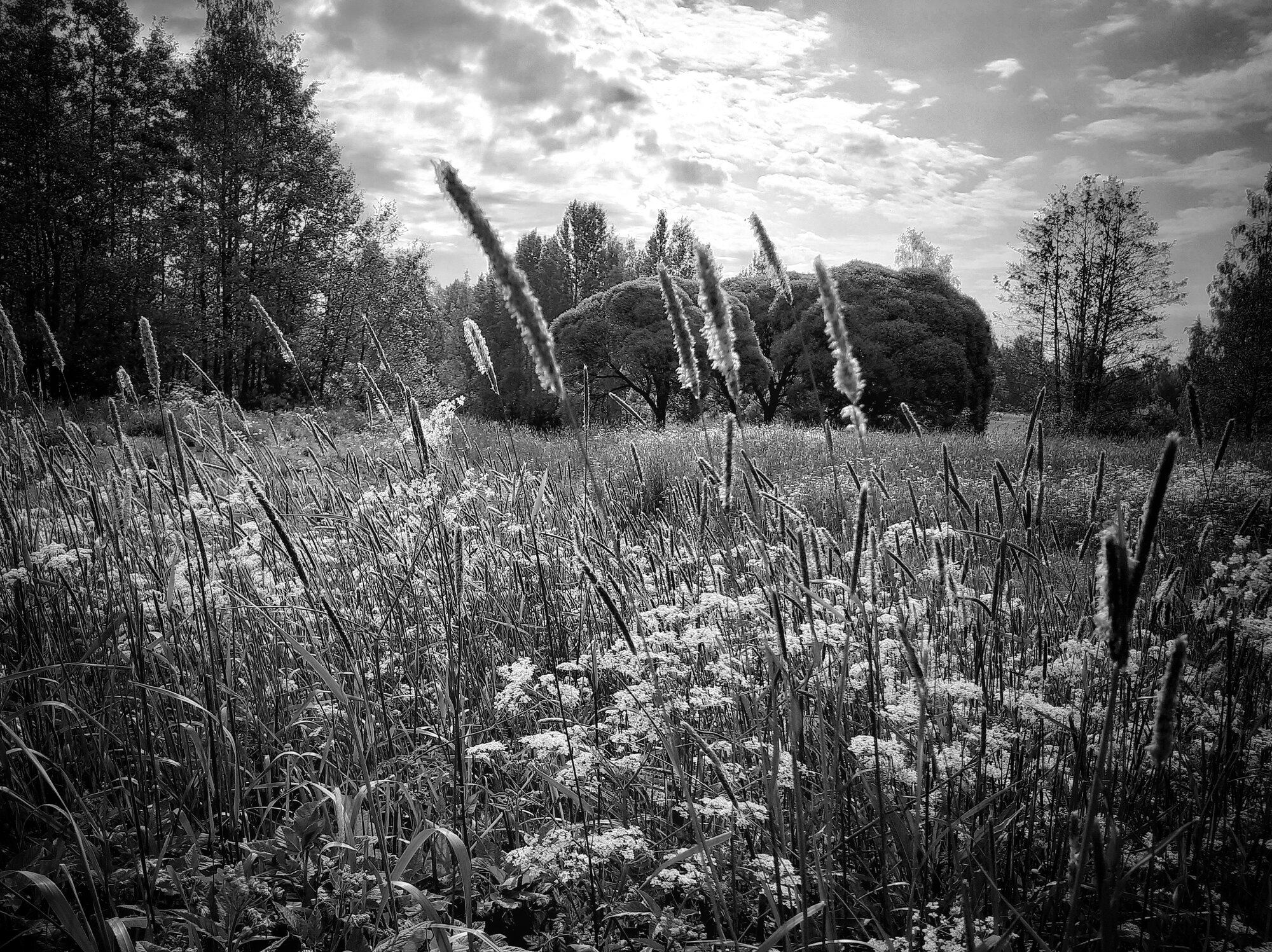 20250616_091547-01.jpeg