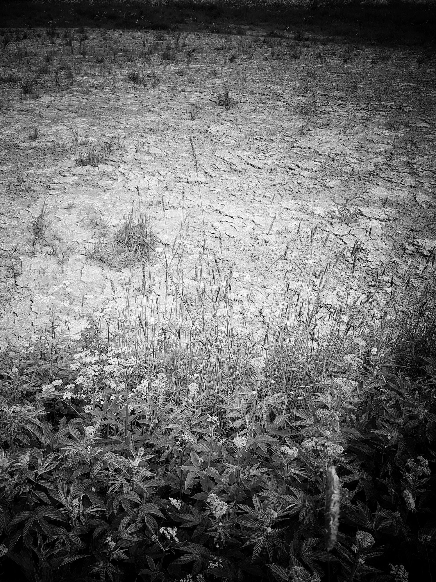 20250616_152307-01.jpeg