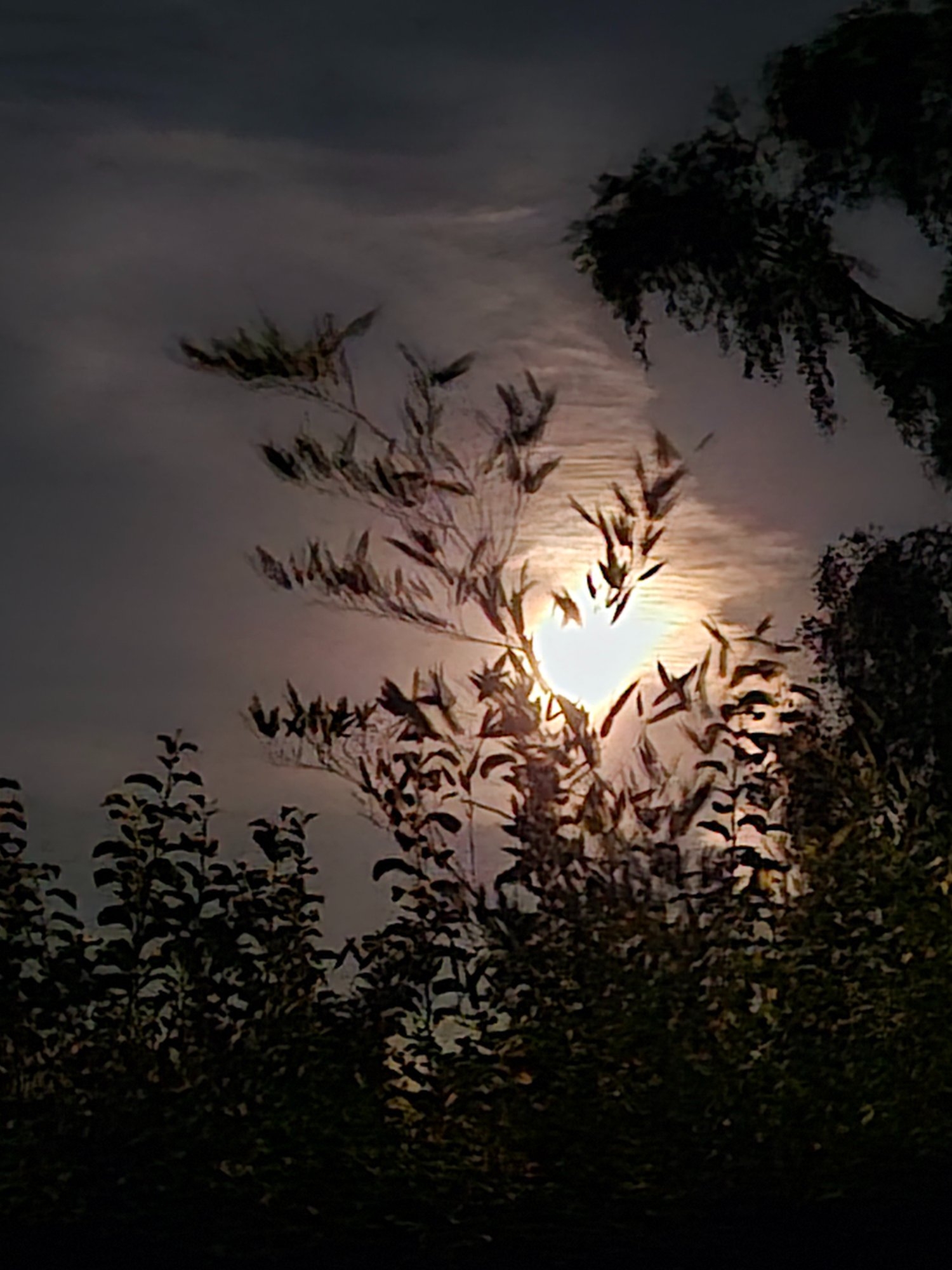 20250906_204823.jpg