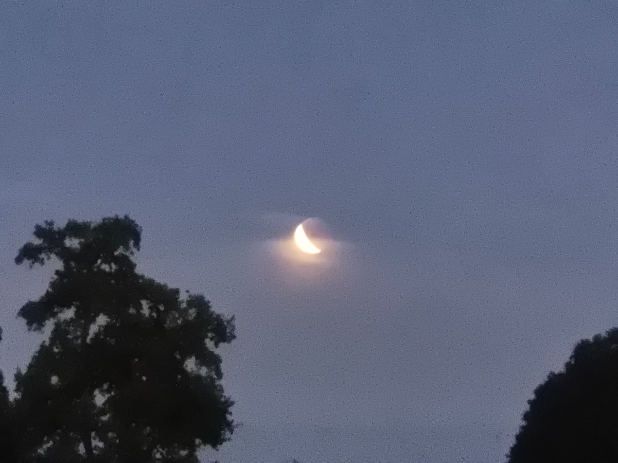 20250907_201212.jpg
