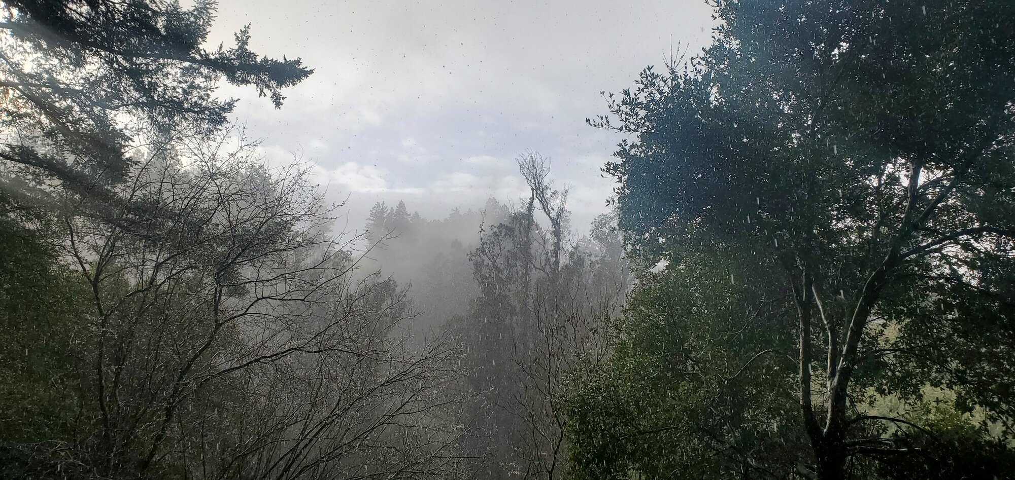 20260211_160045.jpg