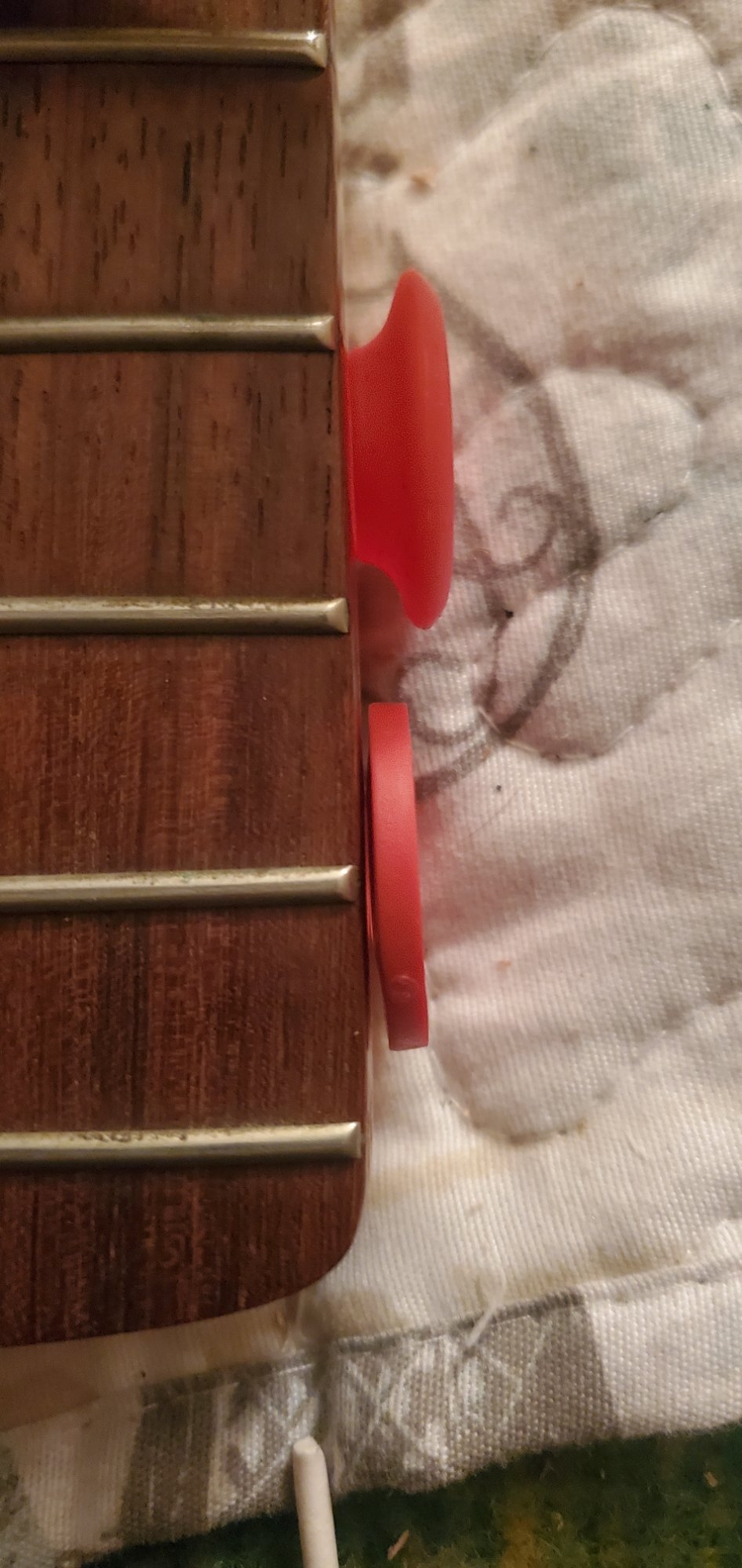 20260212_201348.jpg