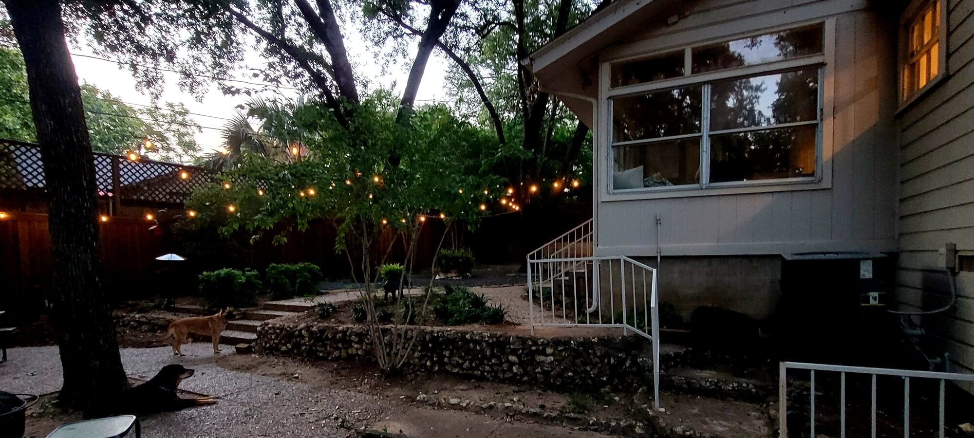 20260622_204255.jpg