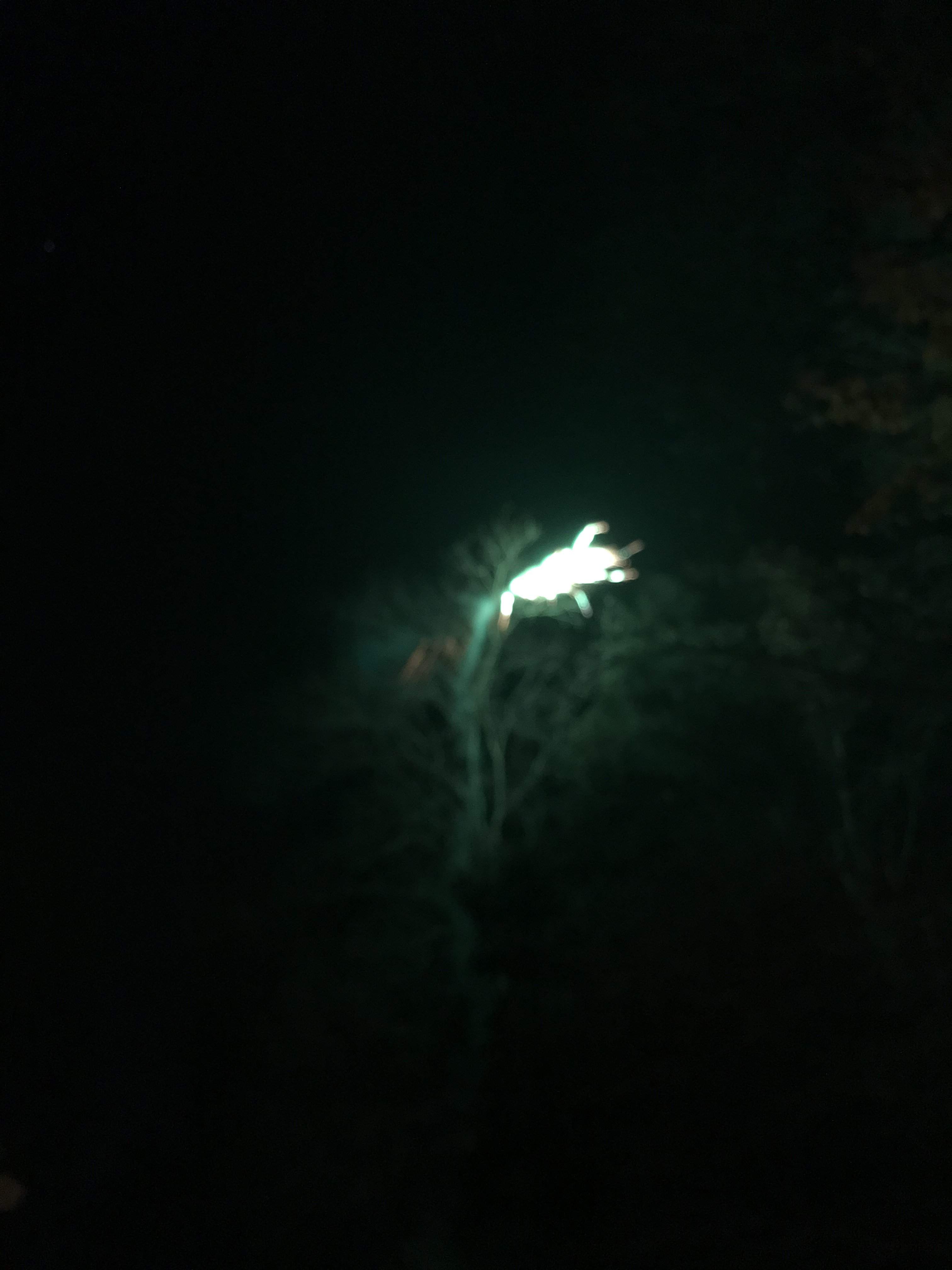 202B5820-3C32-4C1B-B93D-5FE1C52A980F.jpeg