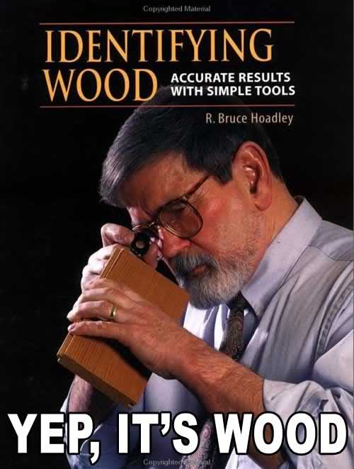 209lufn.jpg