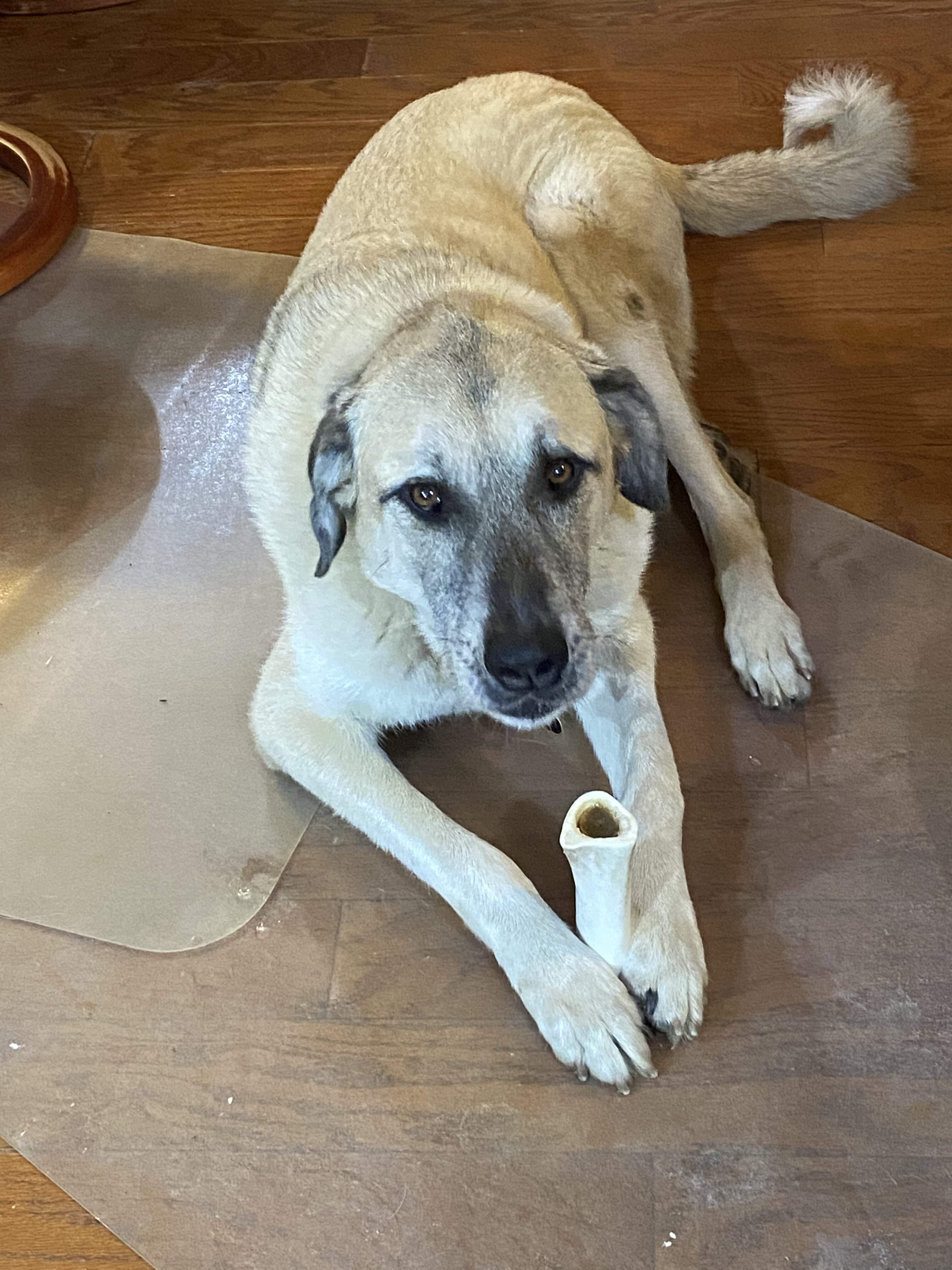 2108254D-8BE0-4DF5-9865-EF510C2A2029.jpeg