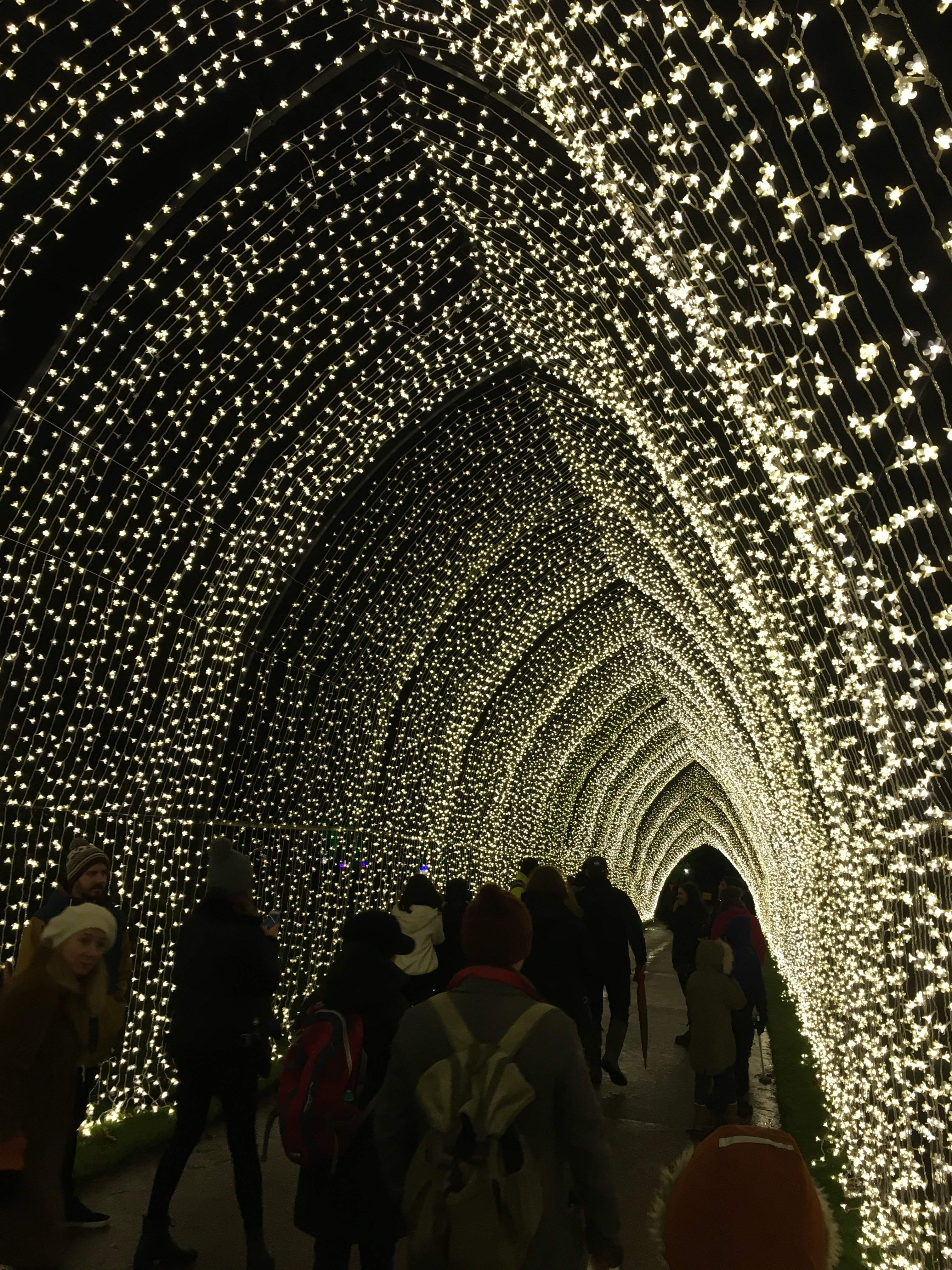 21322E74-2F7B-4C94-ABCC-2237C3B0E42B.jpeg