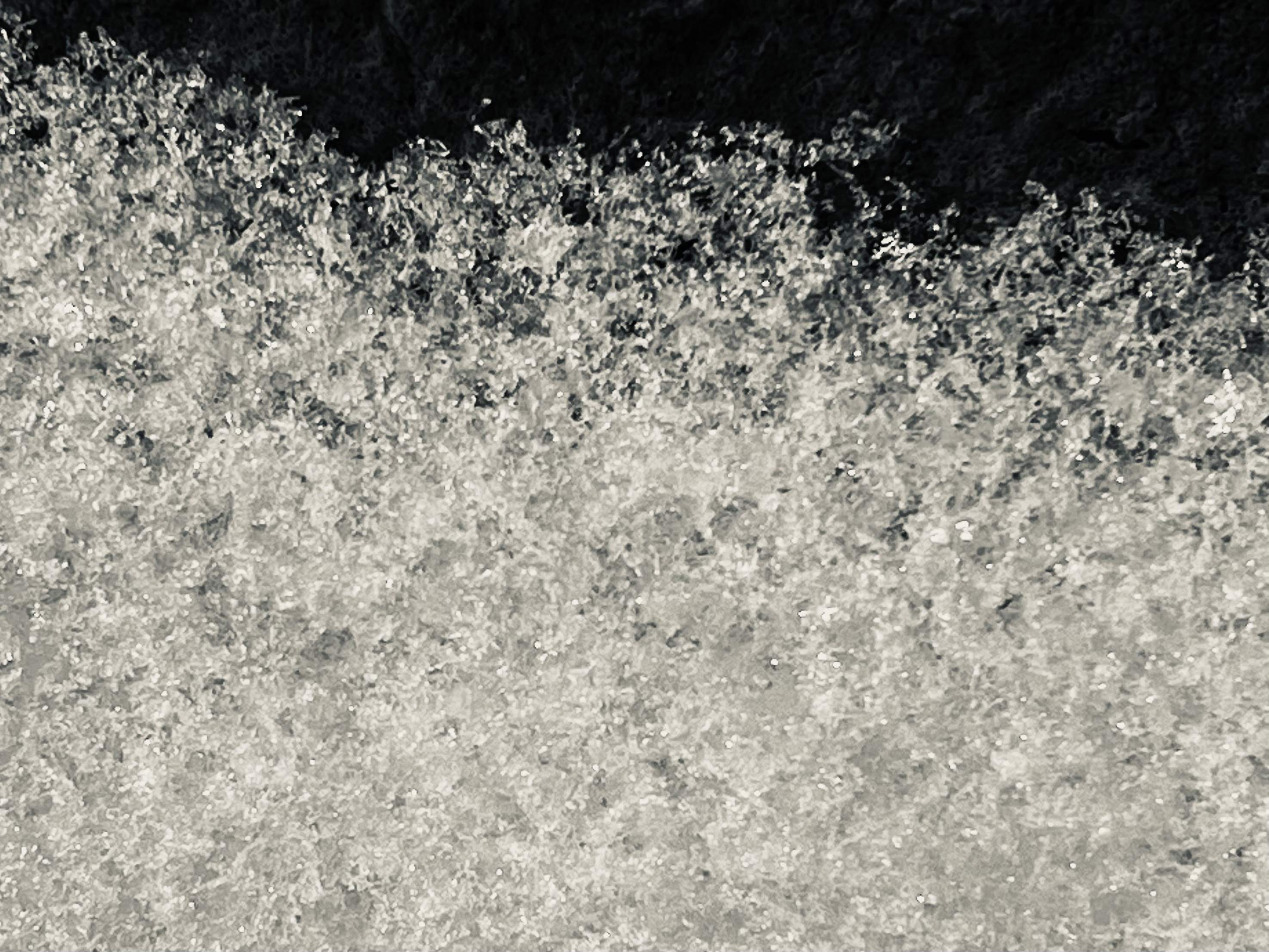21499D1E-8C9E-4013-A7A4-DF66367B5589.jpeg