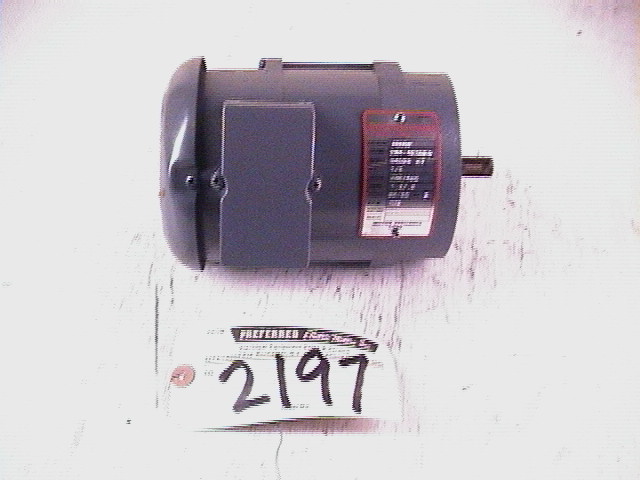 2197.jpg