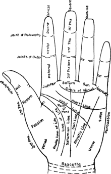 220px-Chart_of_the_Hand.png